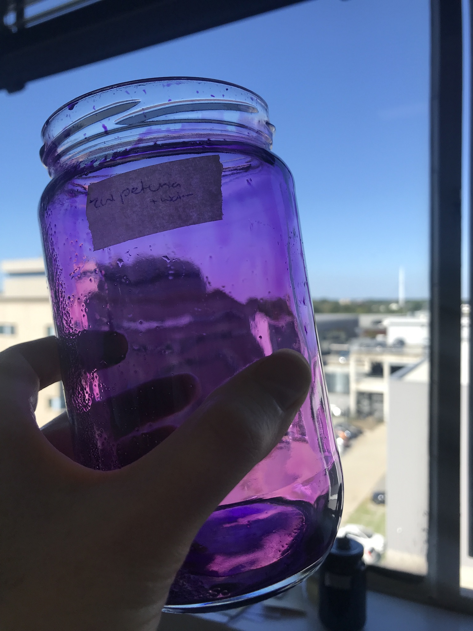 Dye from black petunias