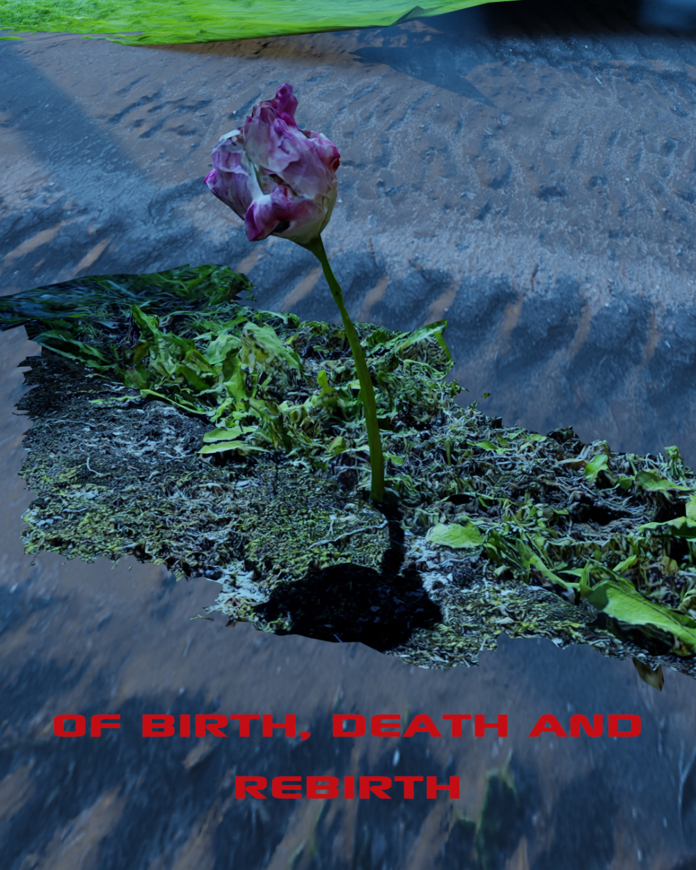 Rebirth