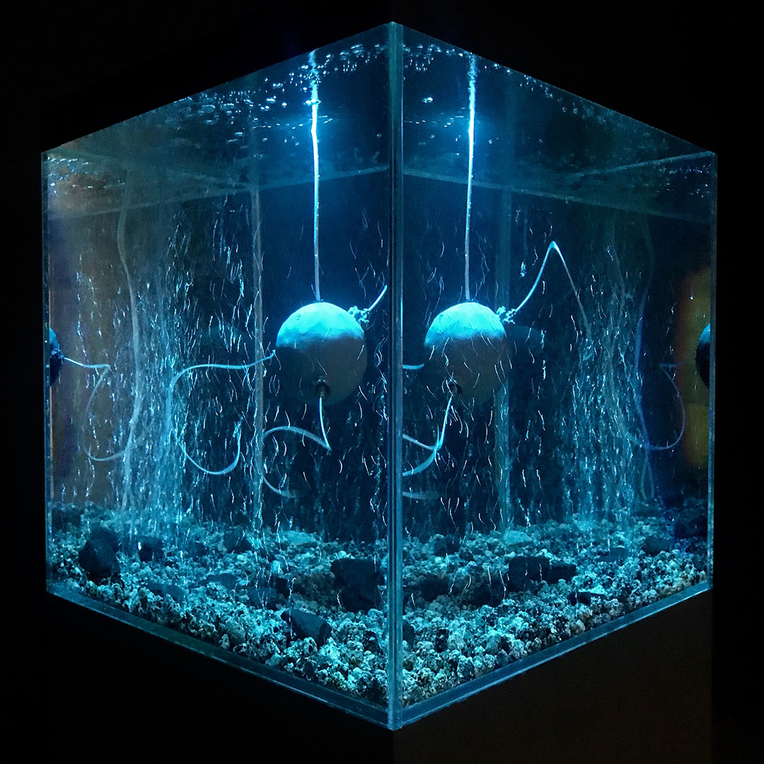 ArchaeaBot at HeK Basel