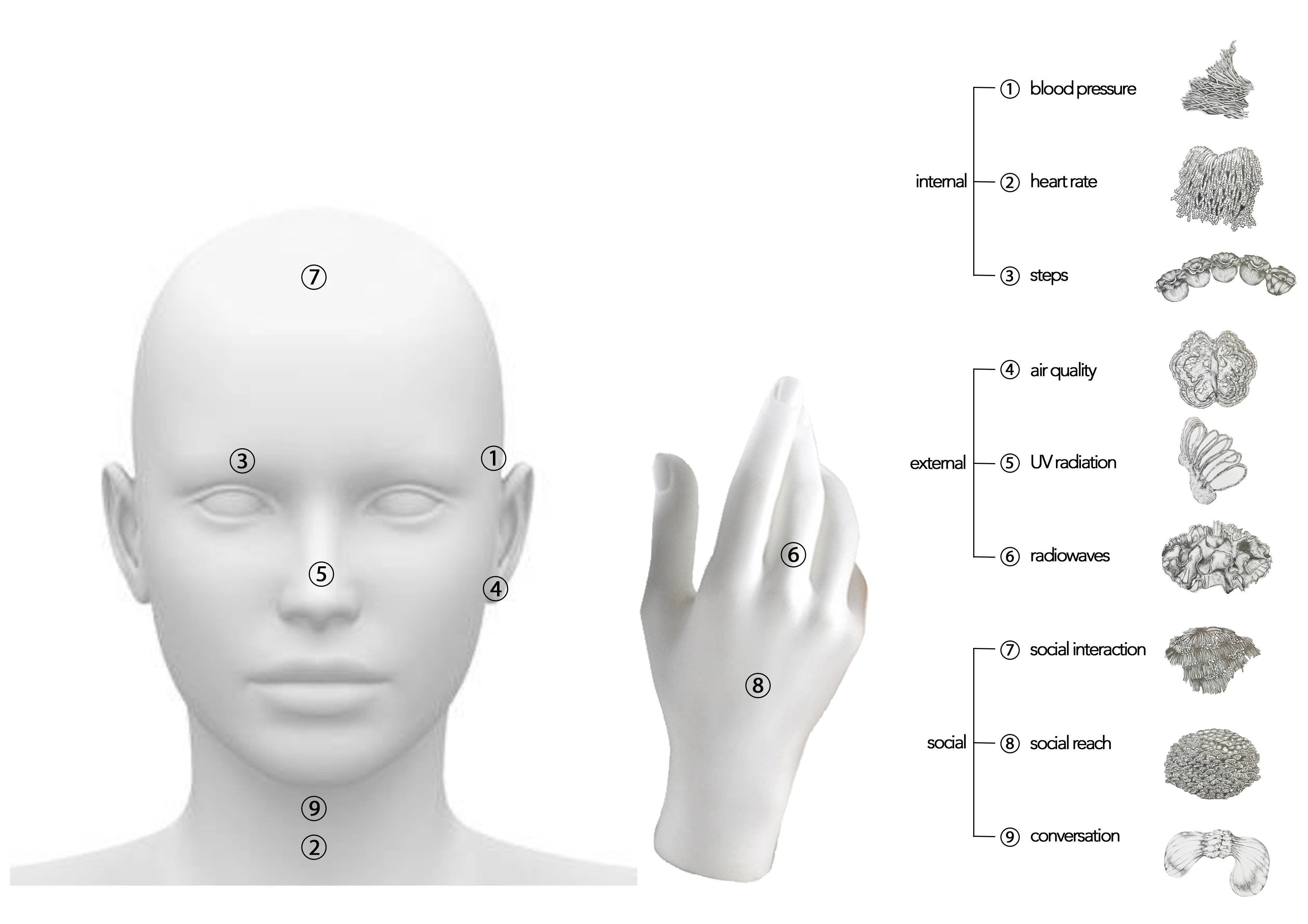 9 parameters + placement