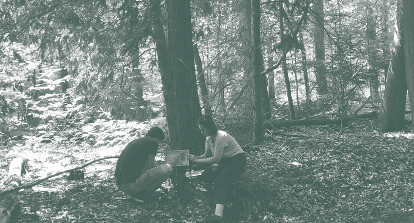 Capturing intertree communication