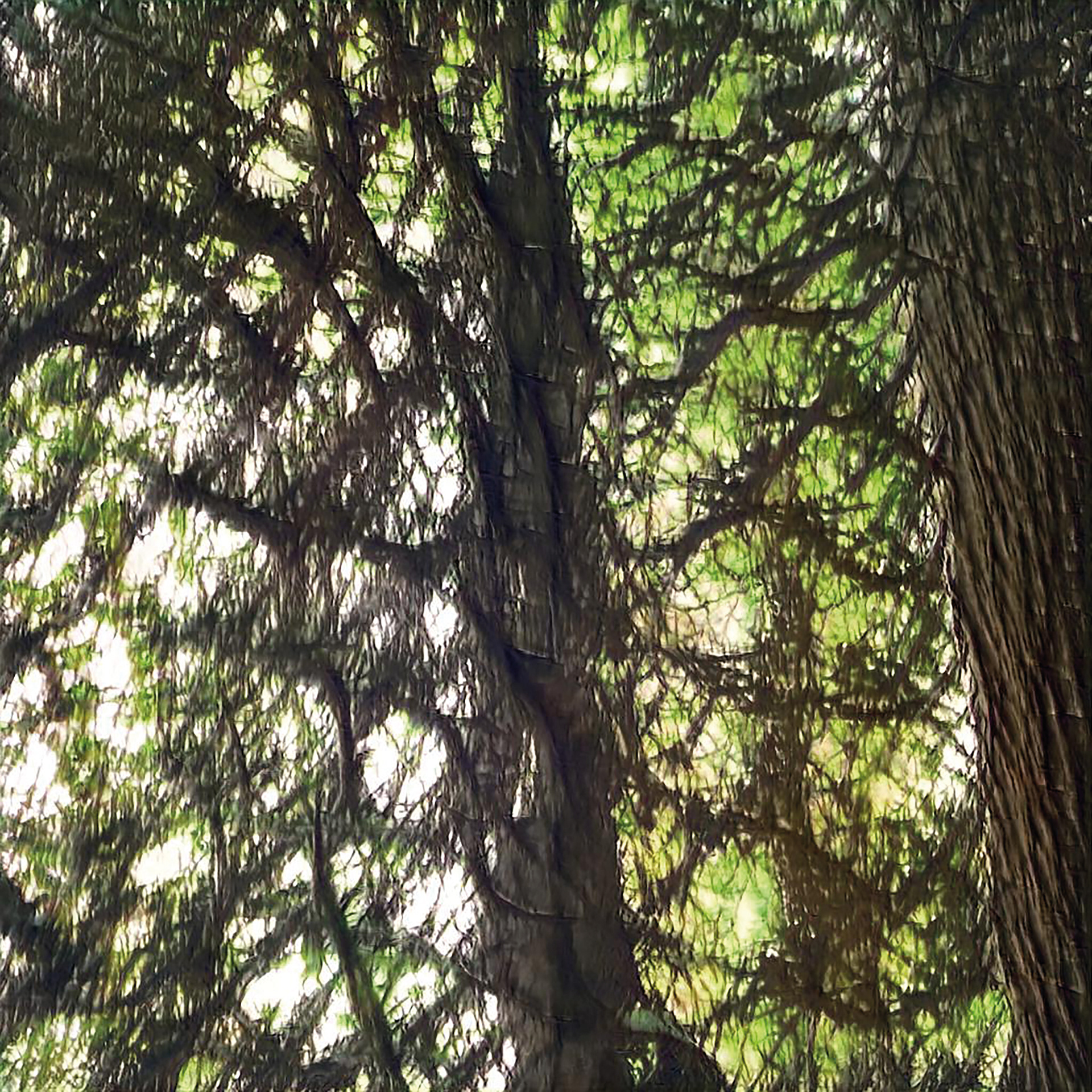 BigGAN representation of the tree