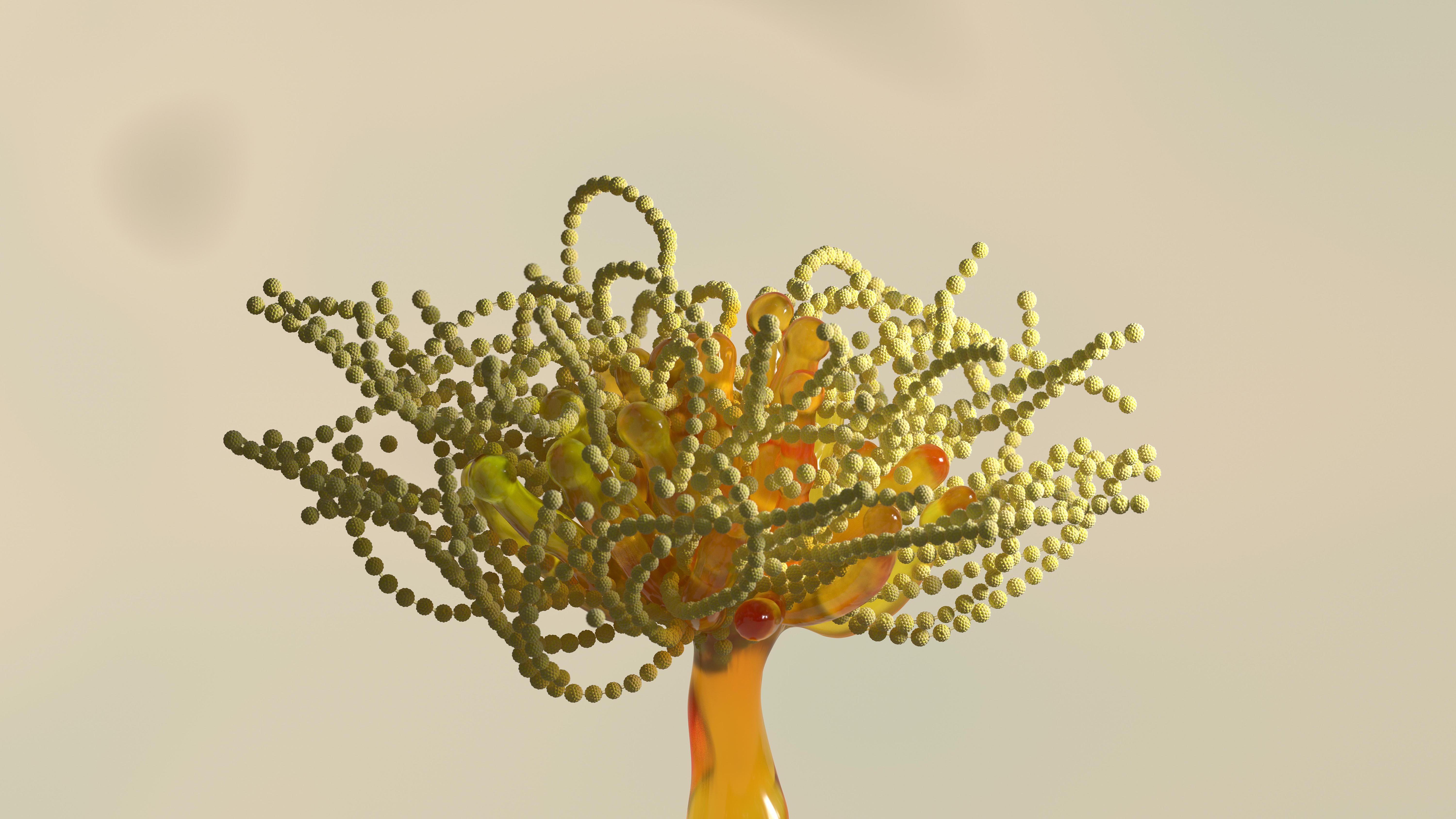 Pollen Bomb