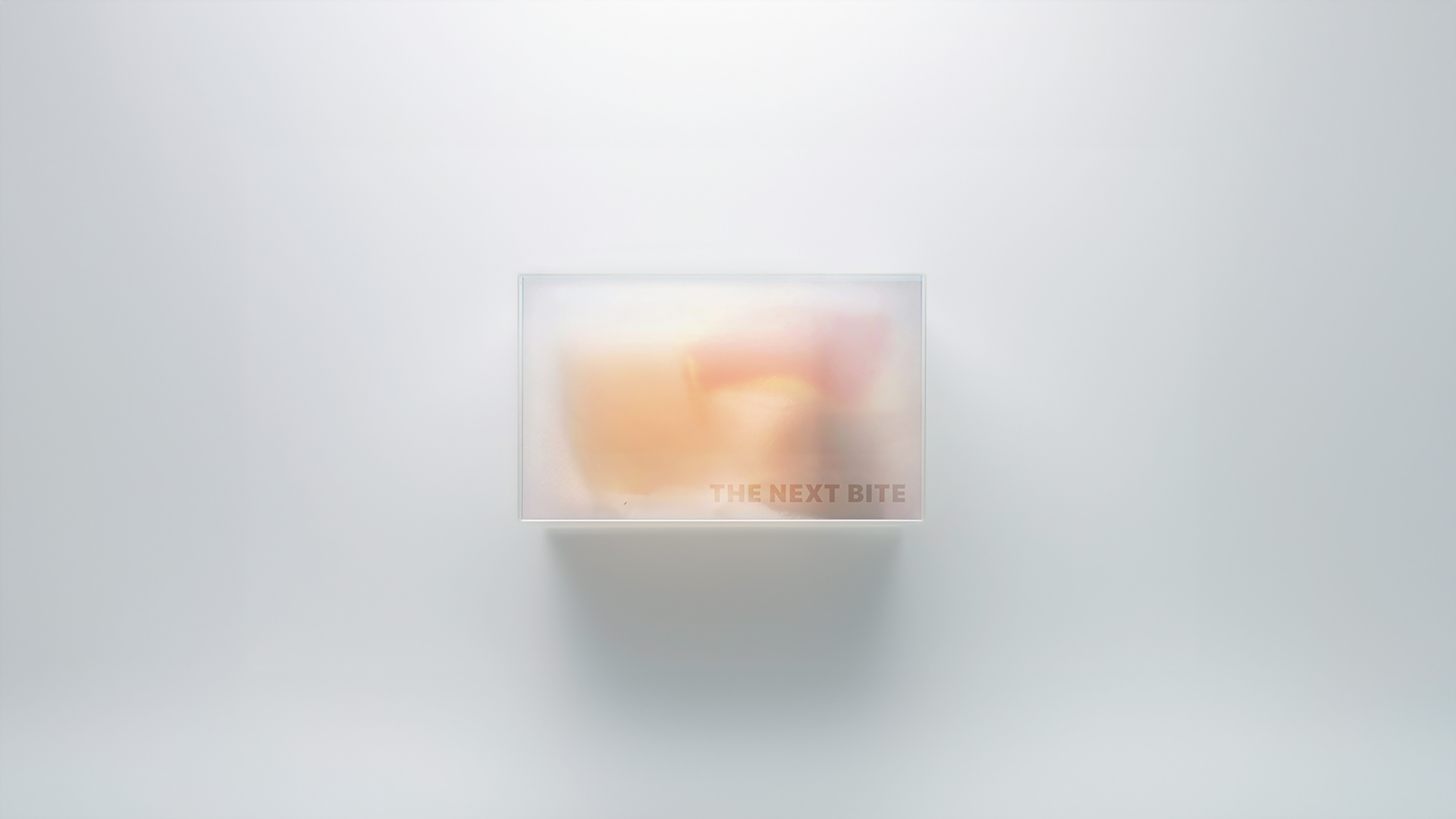 ‘The Next Bite’, the futuristic food pack