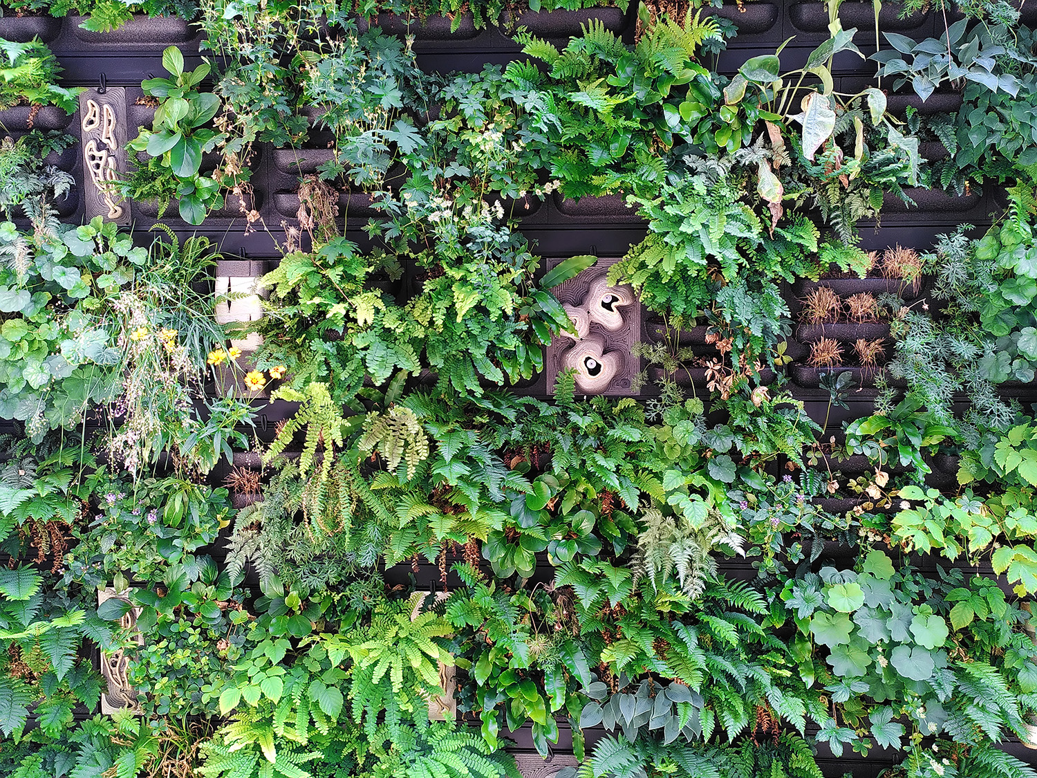 Green Wall - Omlab x MVRDV