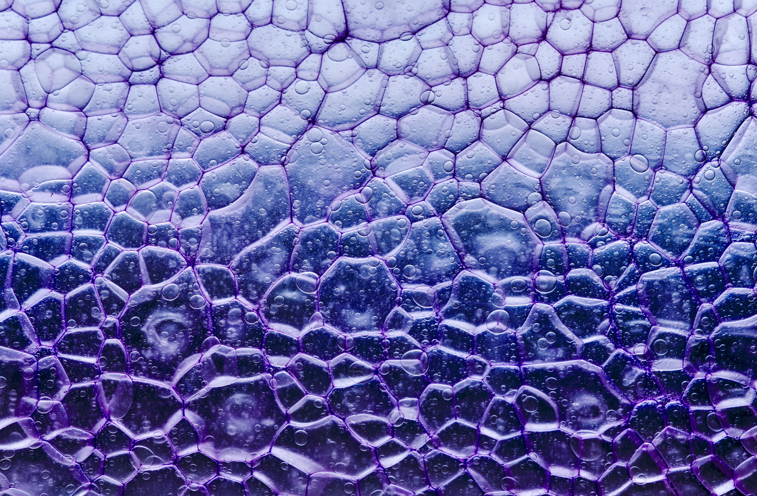 Close-up of bio-based bubble wrap