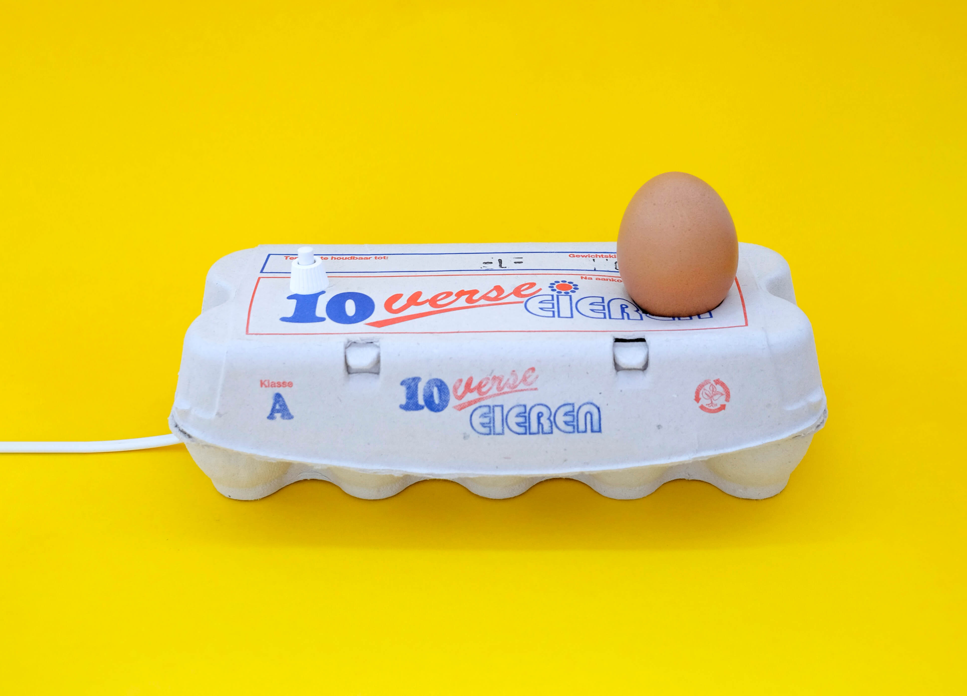 Eierdoos Lamp / Eggbox Lamp