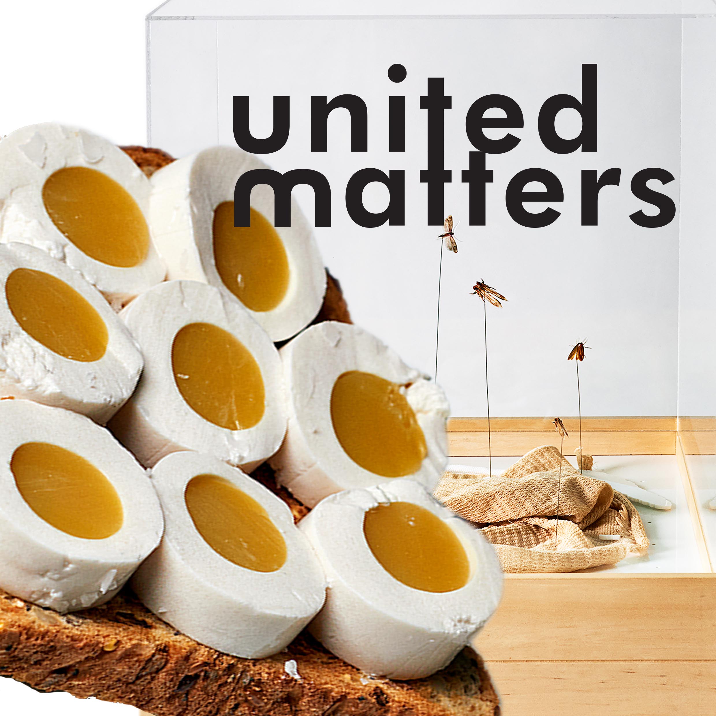 United Matters