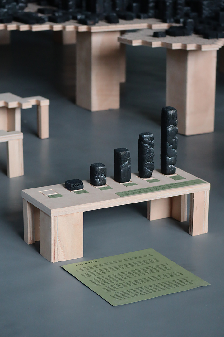 'Adsorption' by Sidonie Devienne - Legend