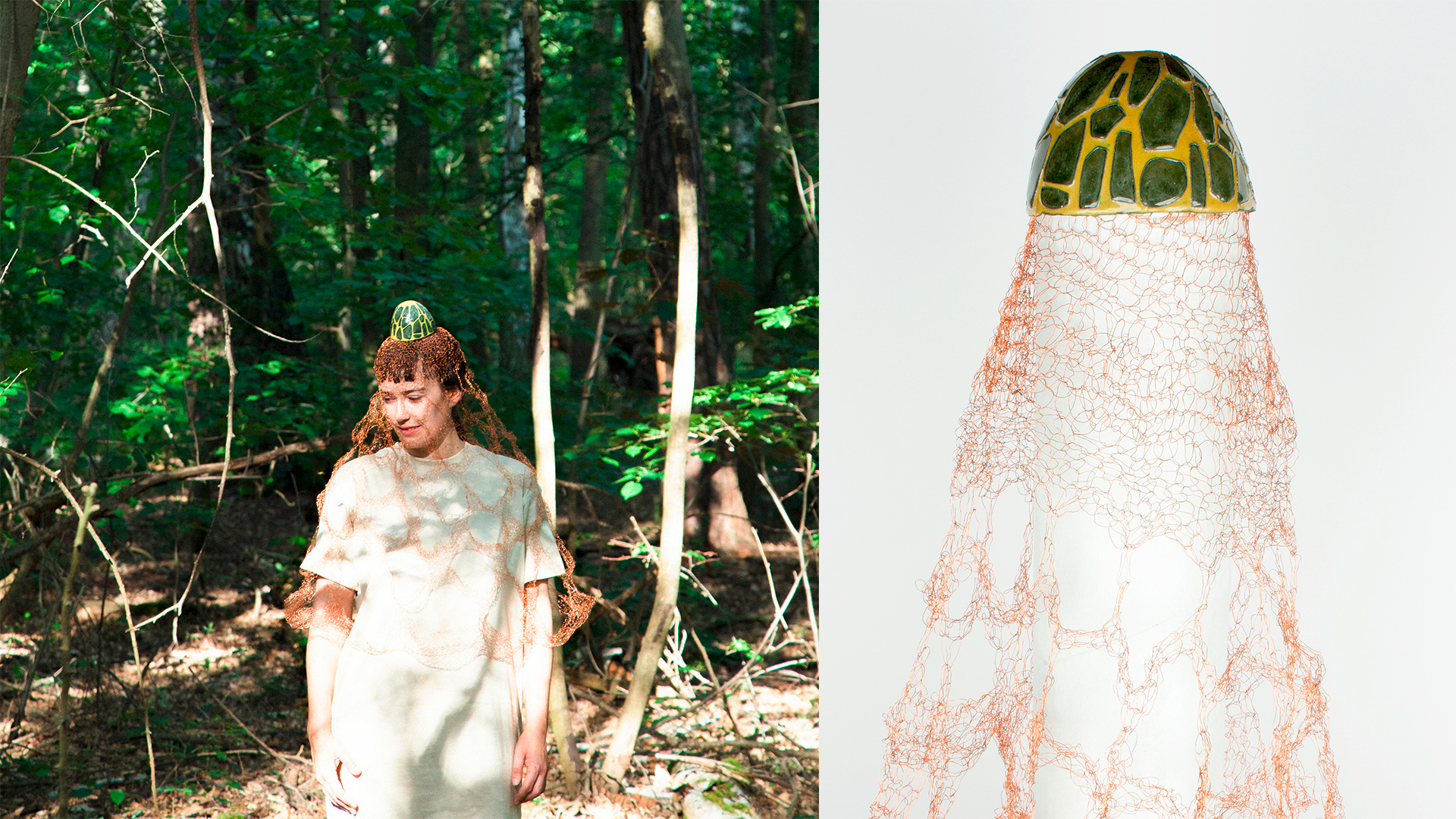 Aphrodisiac Fungi (Phallus indusiatus)