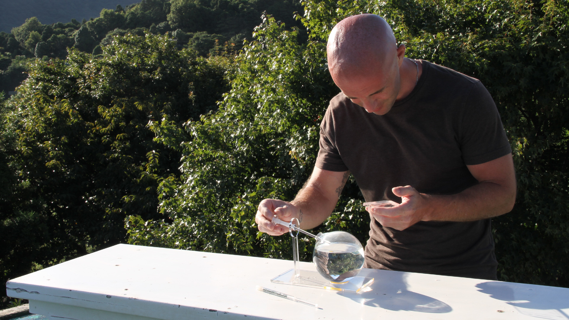 Alex / Calanoid copepods / Sydney