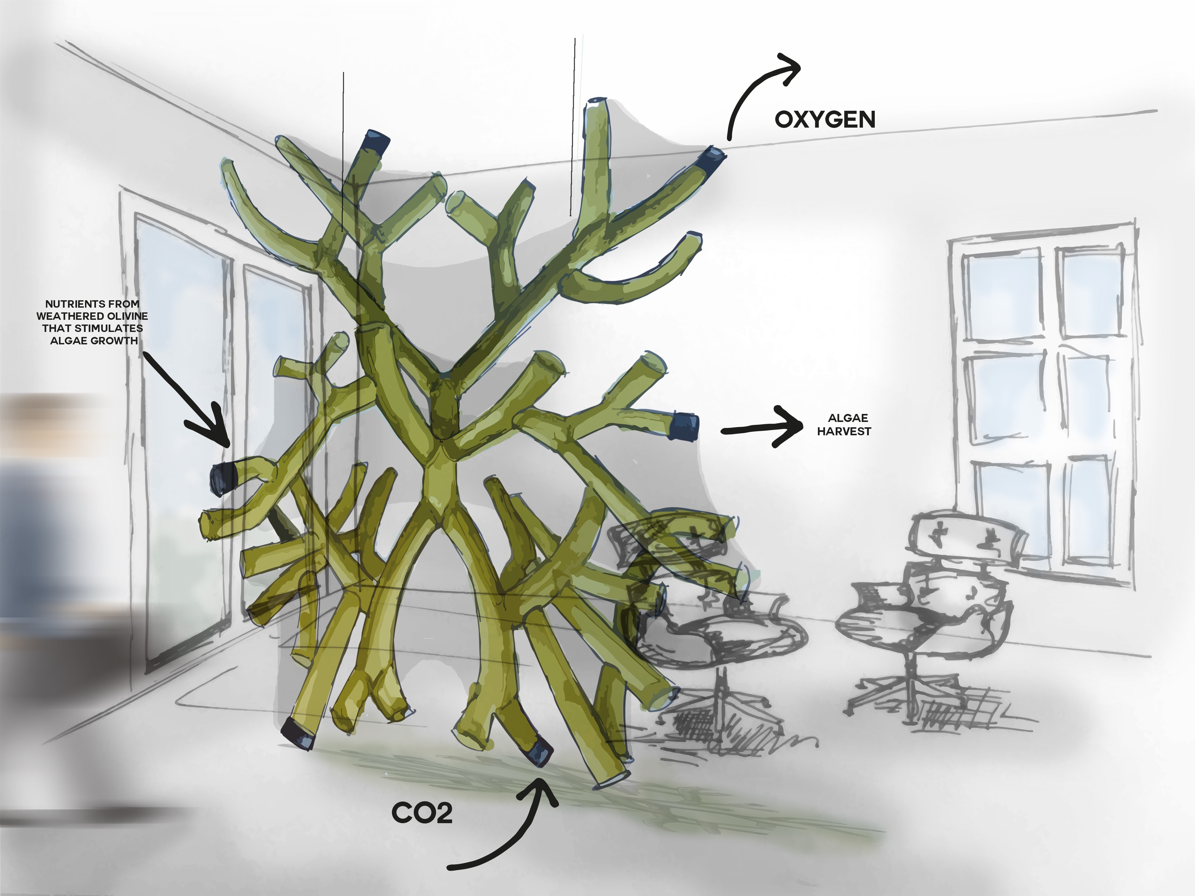 Visualization of a possible algae filter system