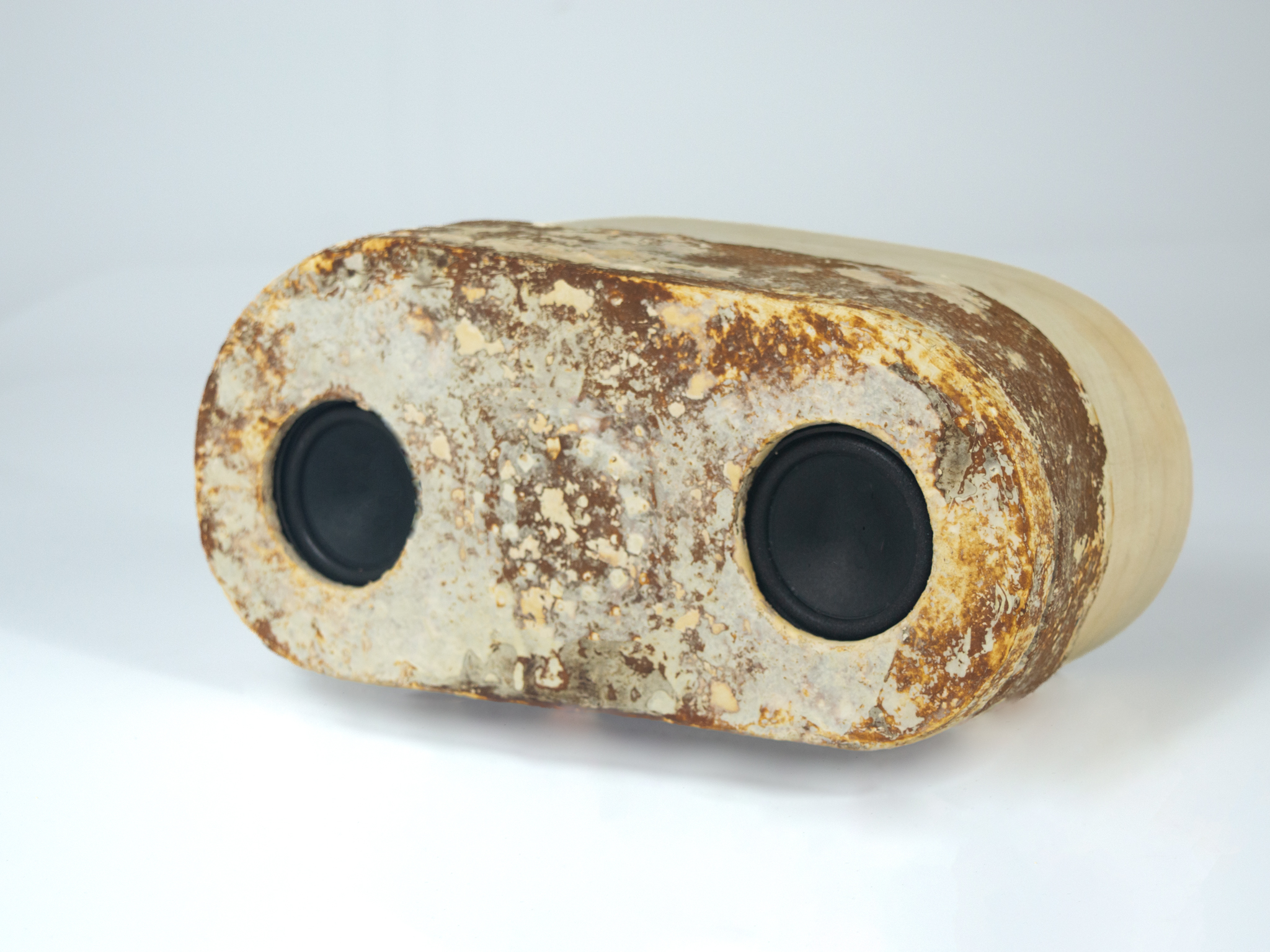 MySpeaker: the mycelium speaker.