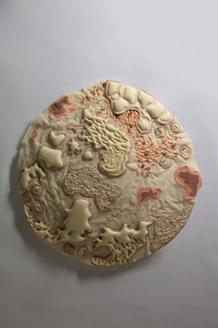 The microbiome
