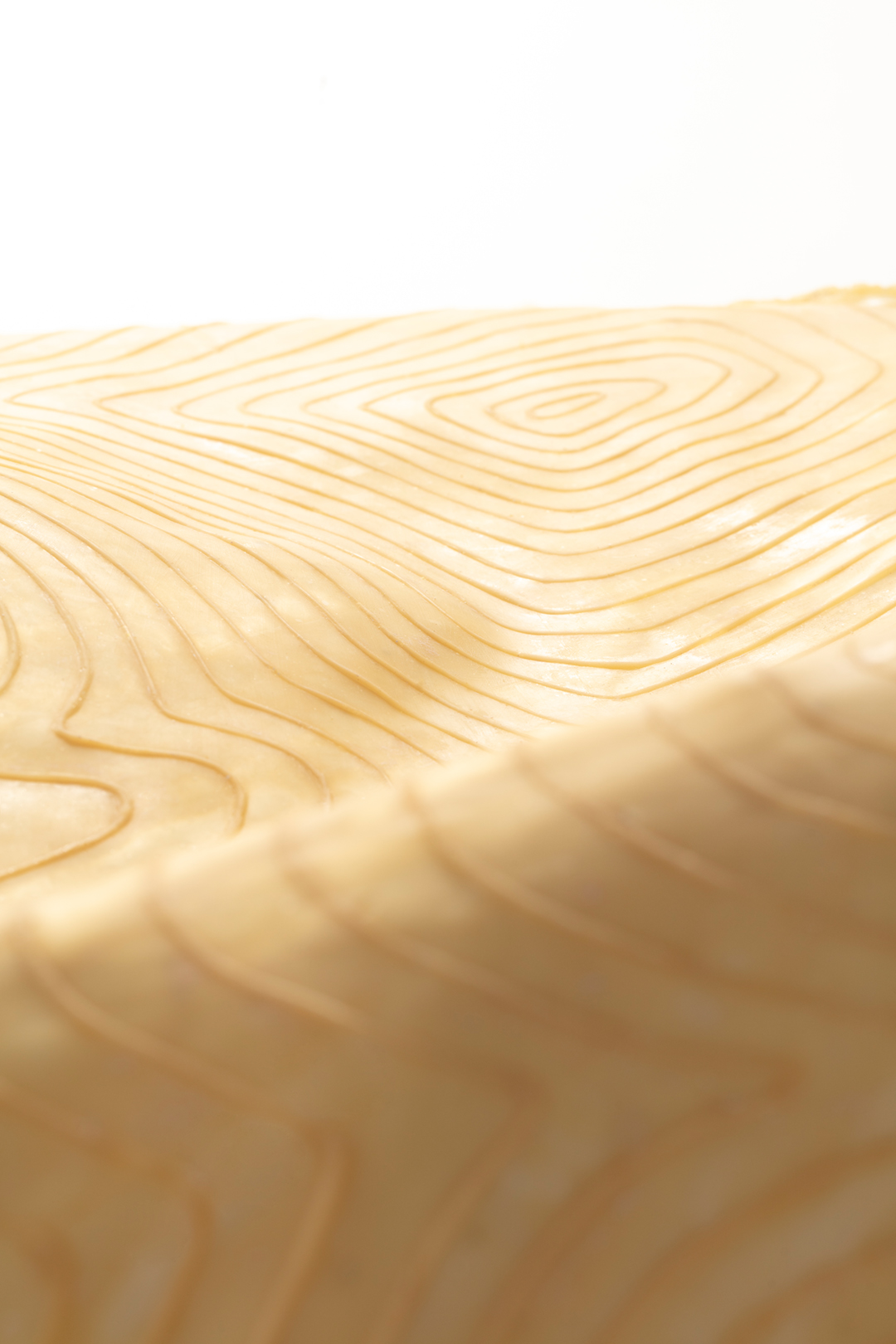 Fingerprints / contour lines