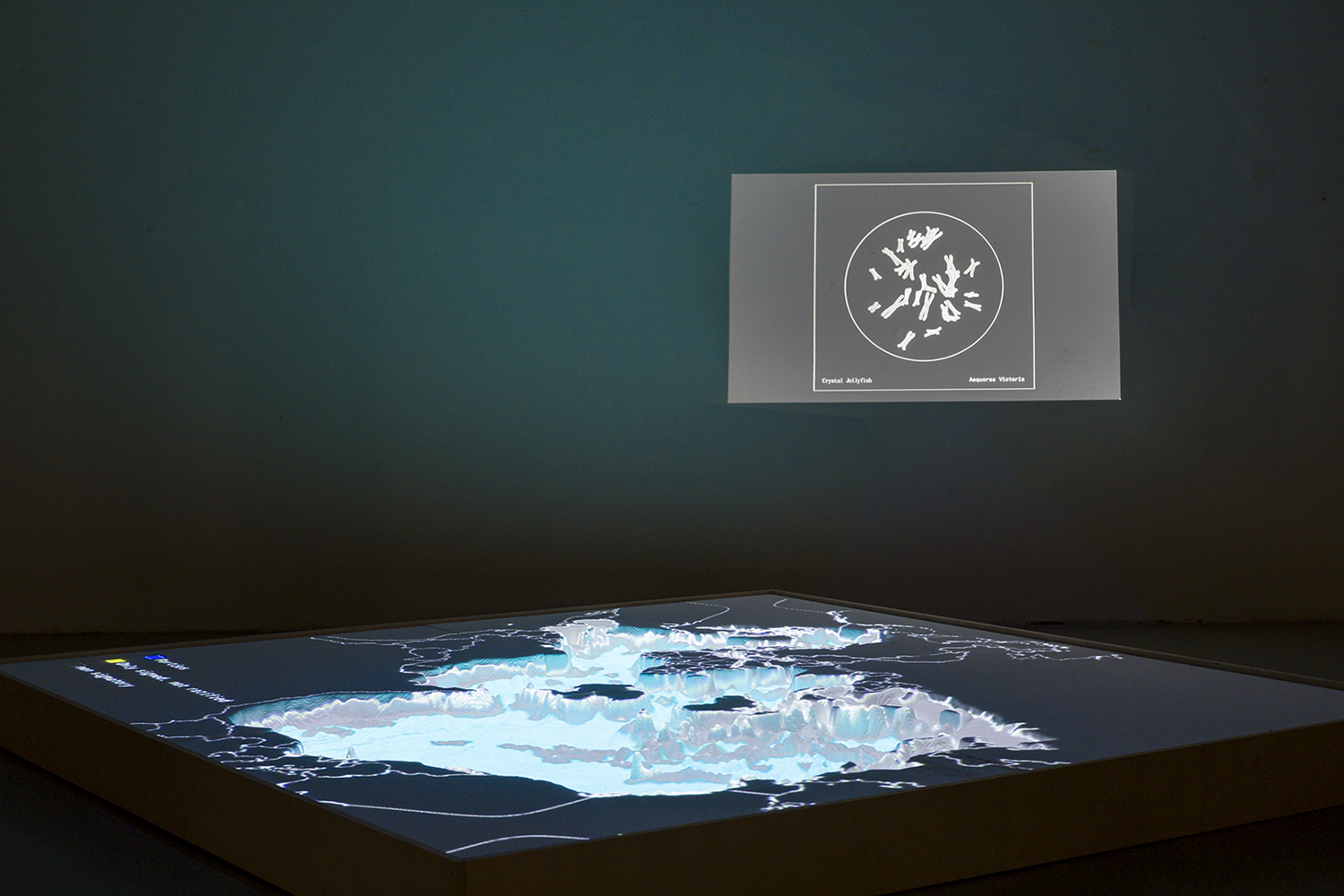 Elements of the two channel video installation