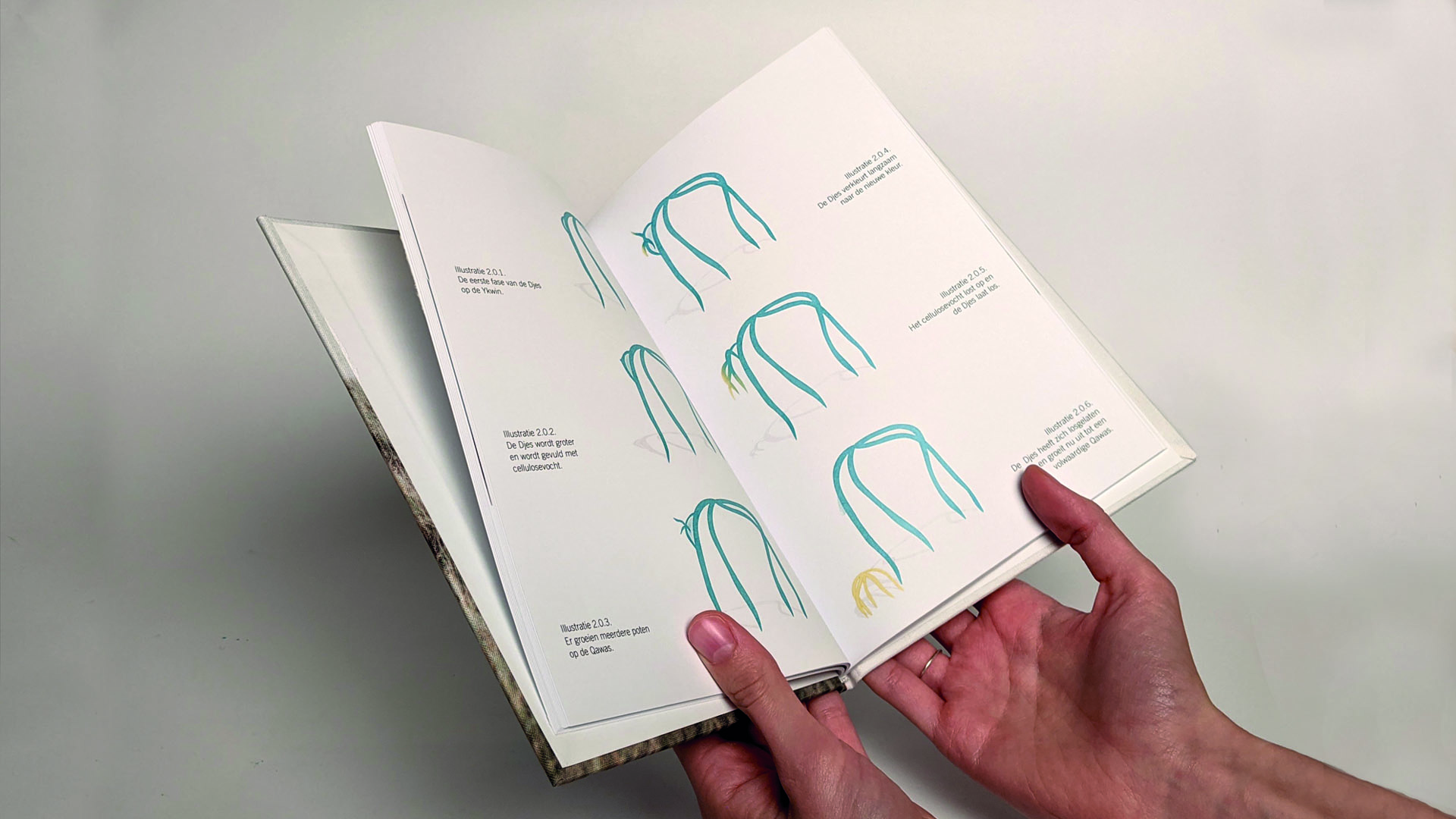 Encyclopdie - De Qawas - Annebel Vernooij
