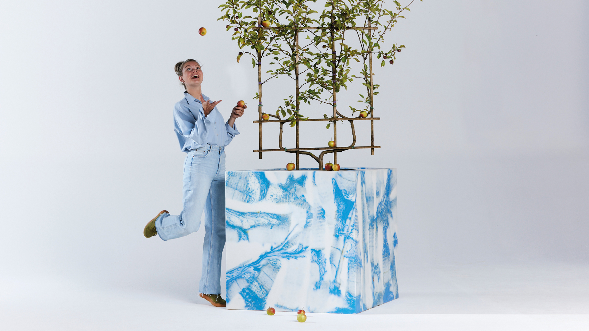 Appletree-box made from broken fruit crates