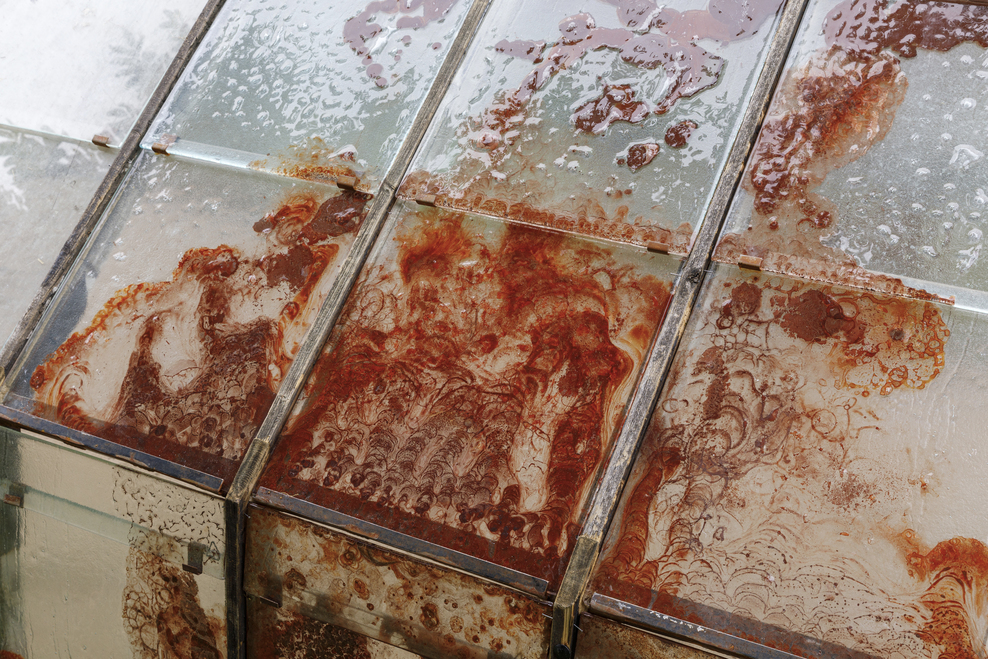 Detail Plates