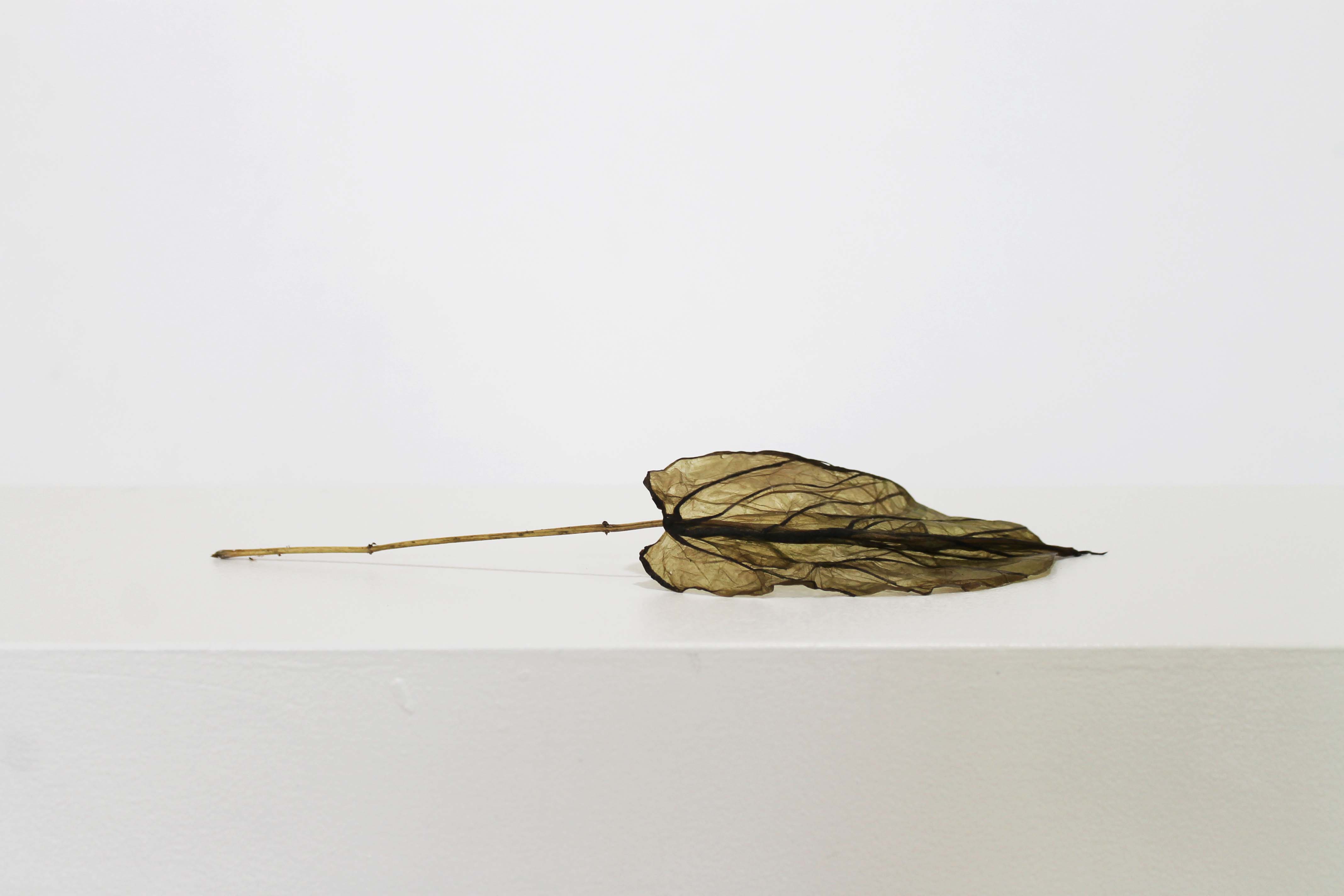 Philia, Bio-plant by Atelier LVDW