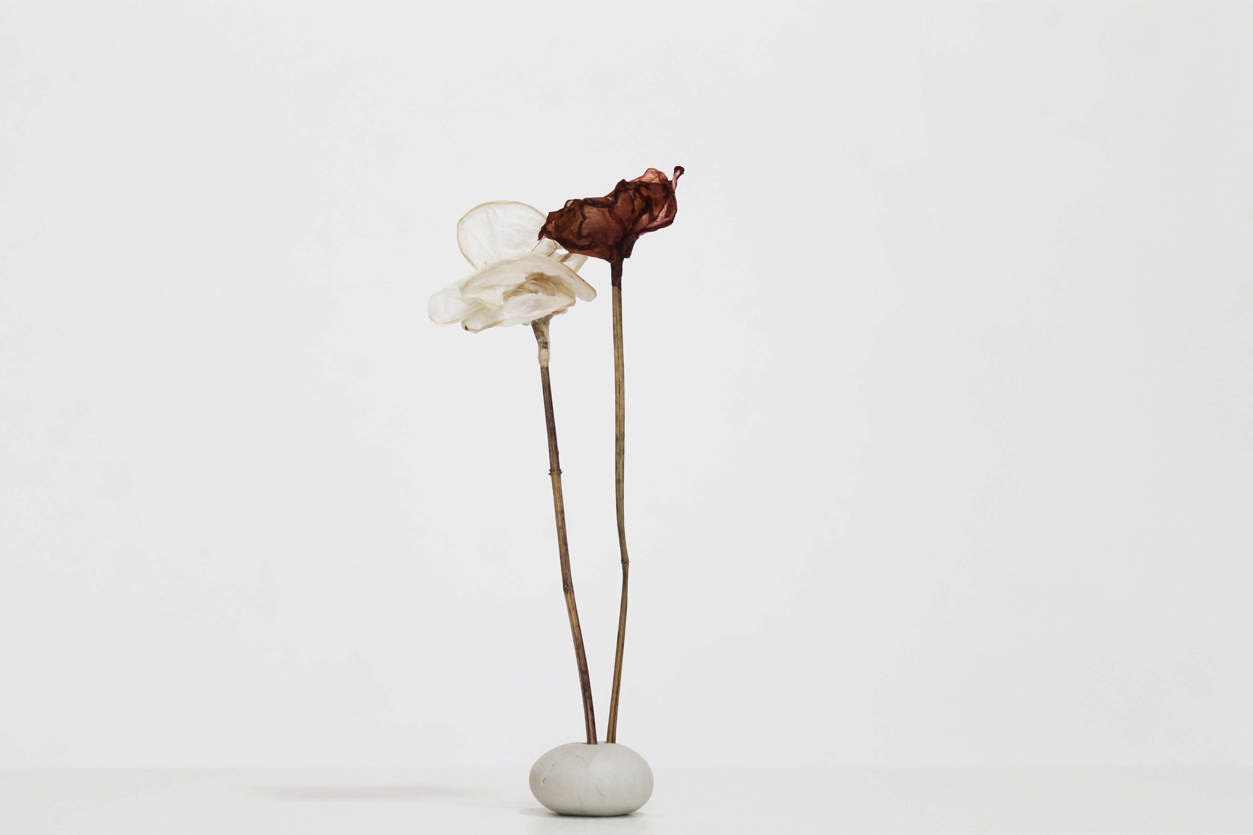 Philia, Bio-plant by Atelier LVDW