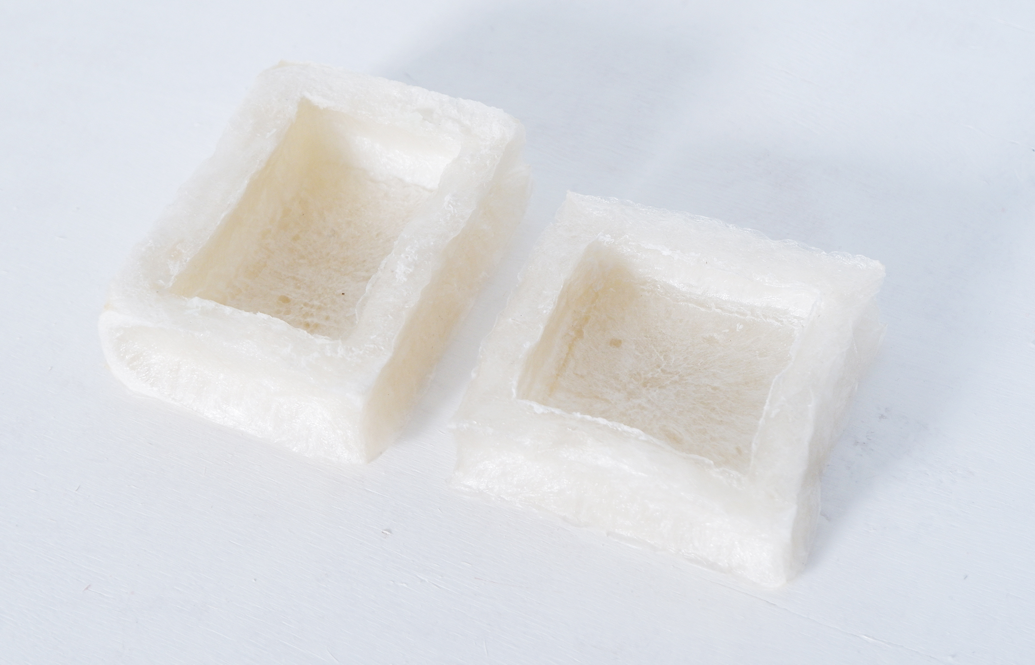 Biodegradable algae-based foam packaging
