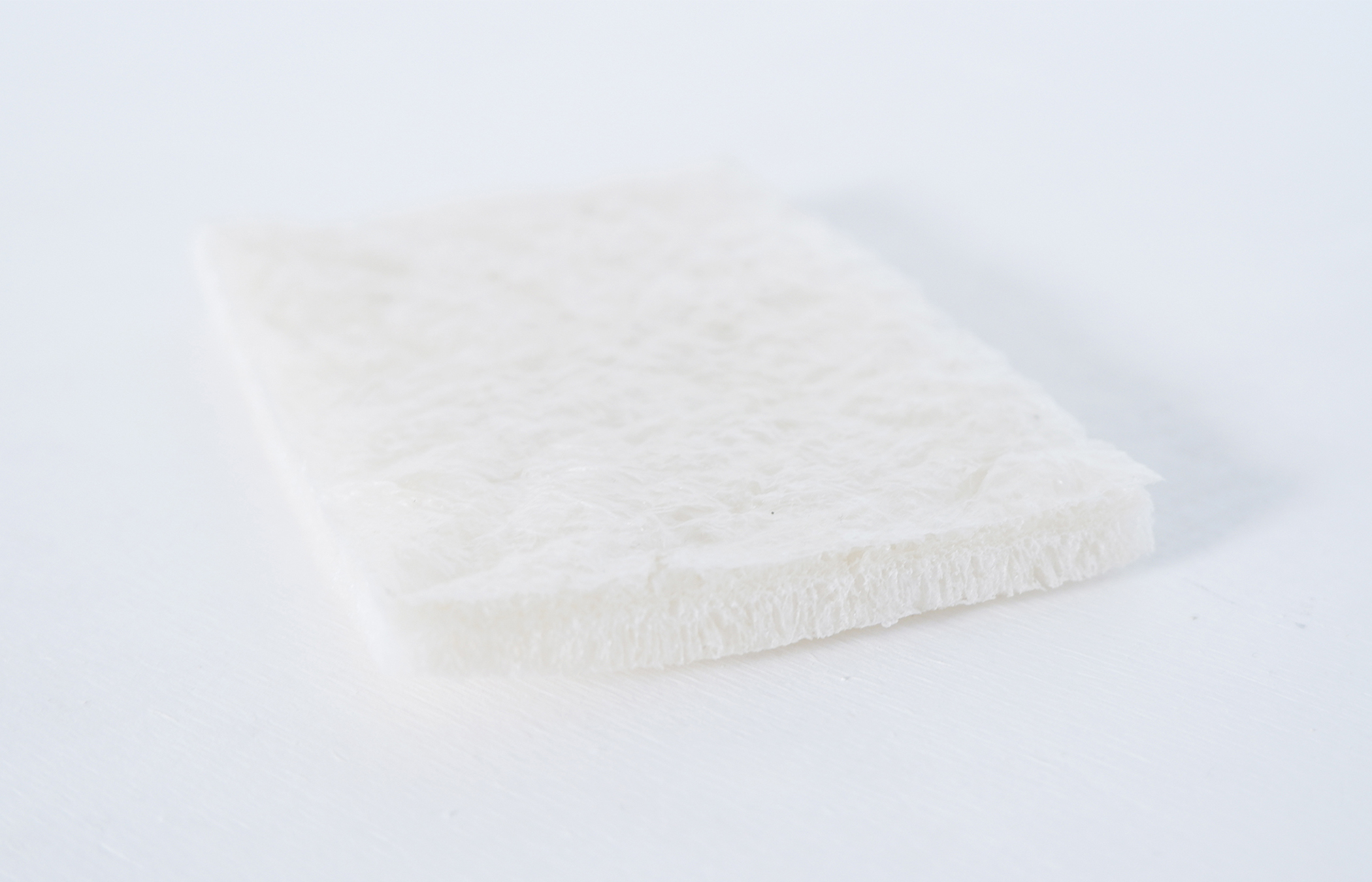 Biodegradable algae-based foam packaging research