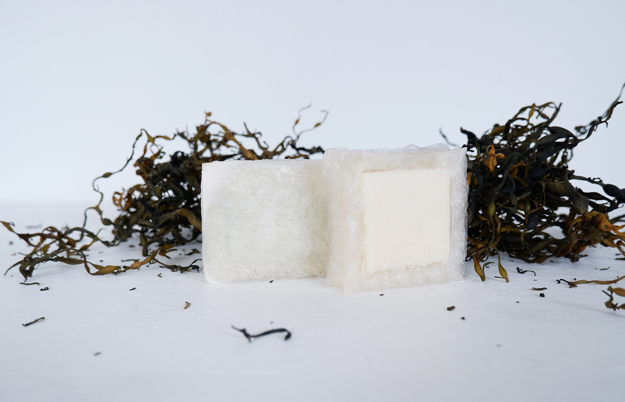 Biodegradable algae-based foam packaging