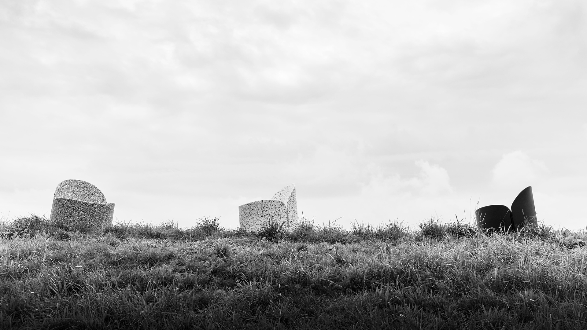 Bloom - on the dyke in Westzaan