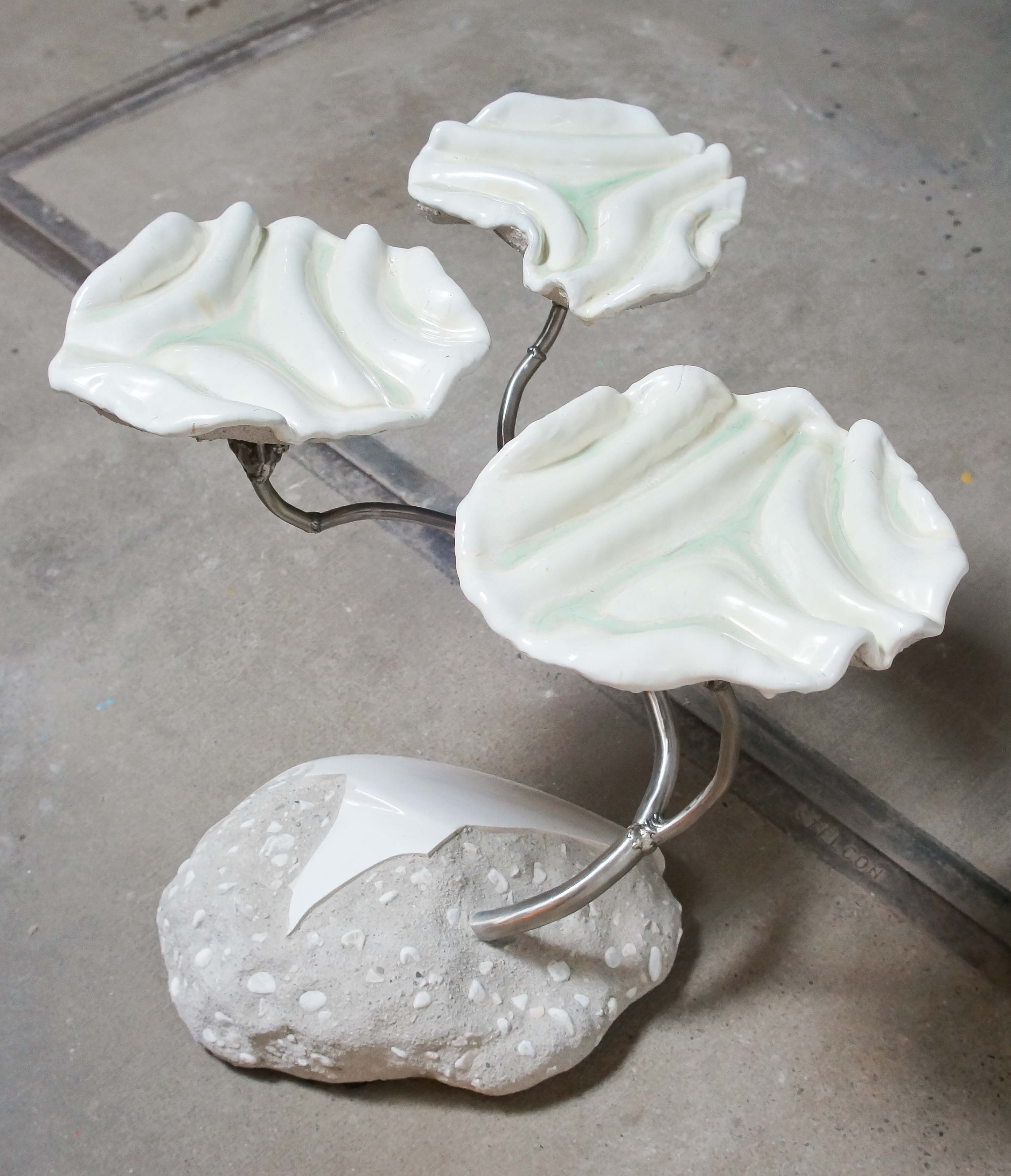 Pothoideae - Perennial Series