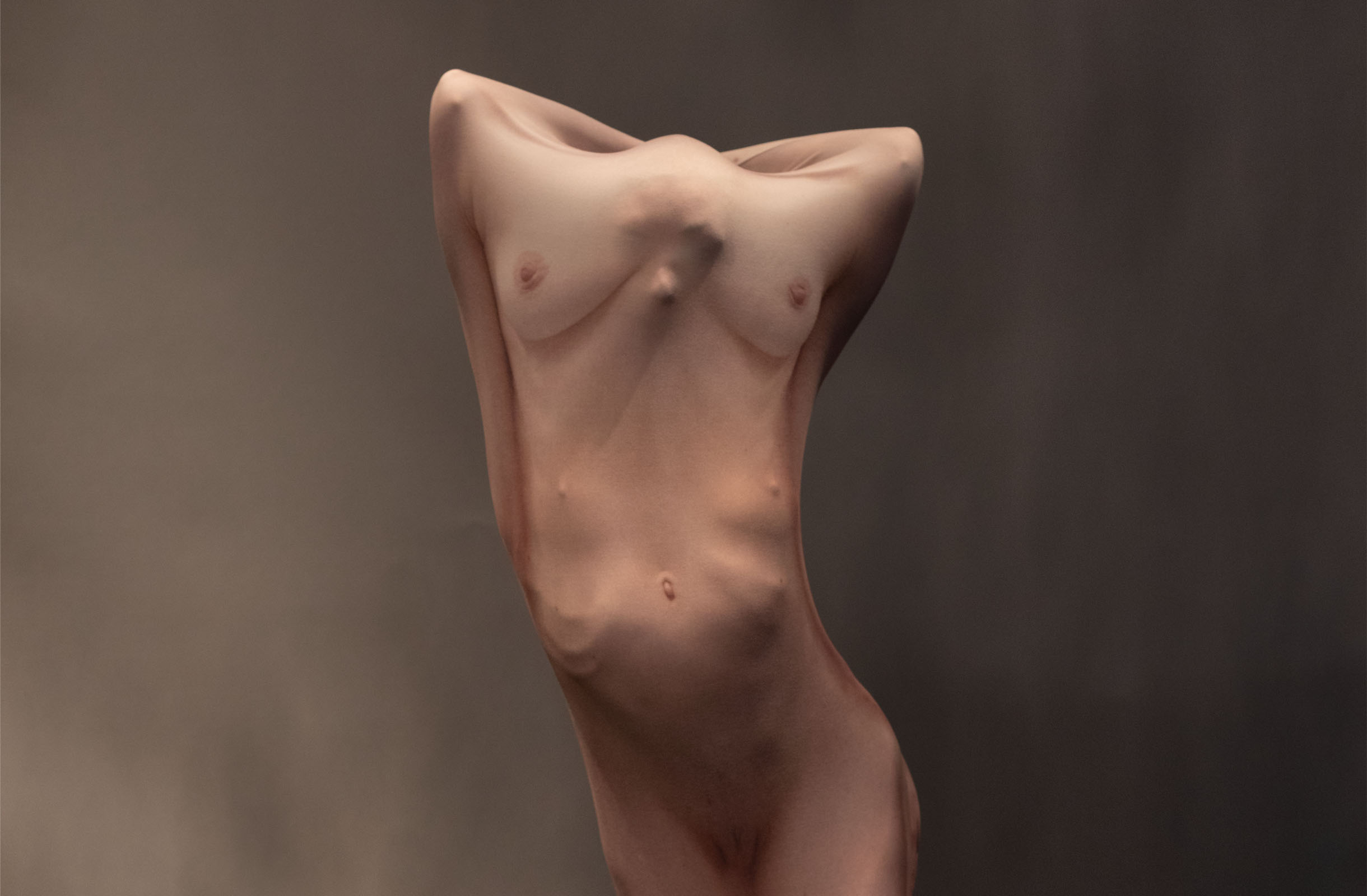 Venus I Bart Hess