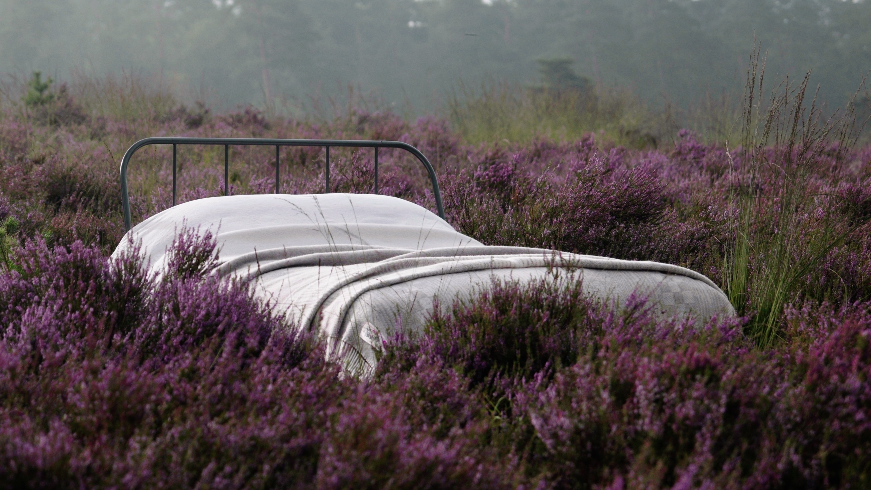 AaBe x Knitwit wollen deken op de heide