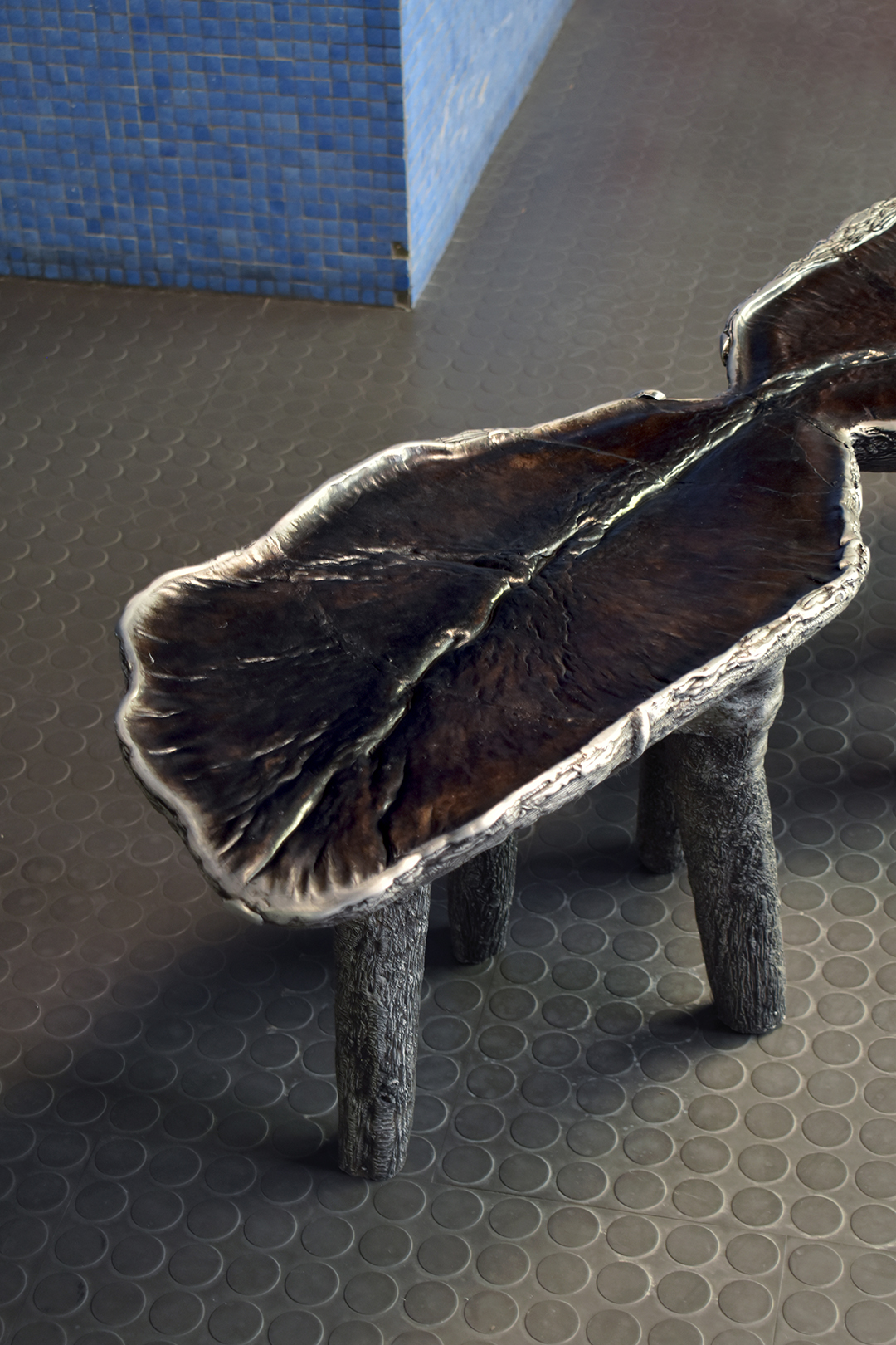 Growth bench, top texture