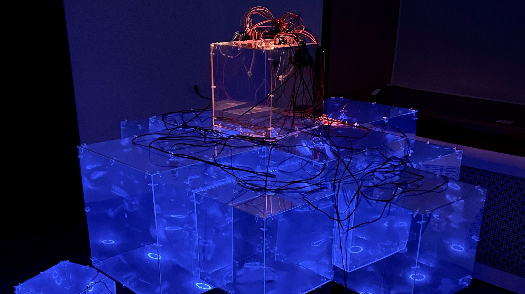 Reflections of Disturbed Cycles
