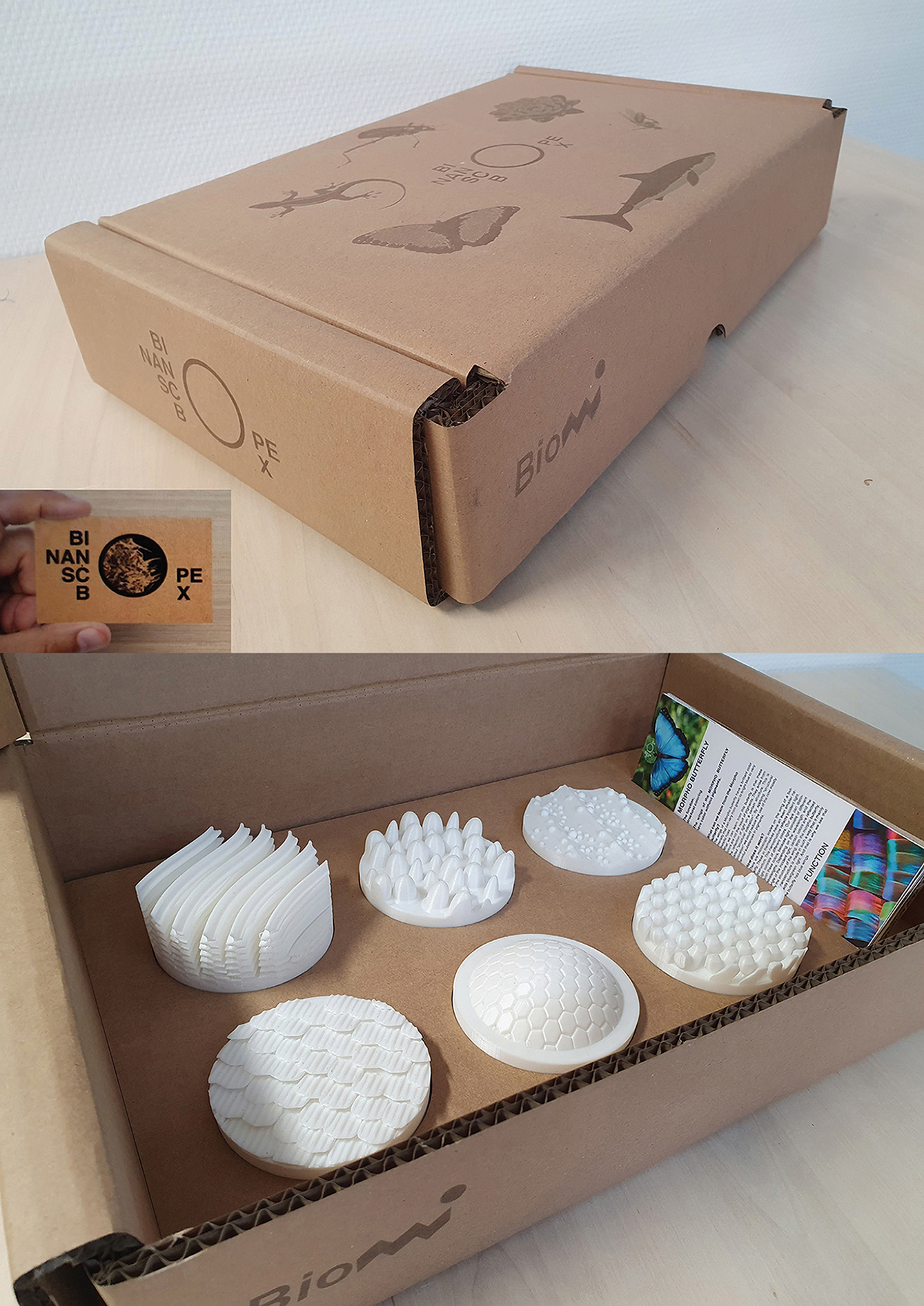 Bio Nano Scope Box
