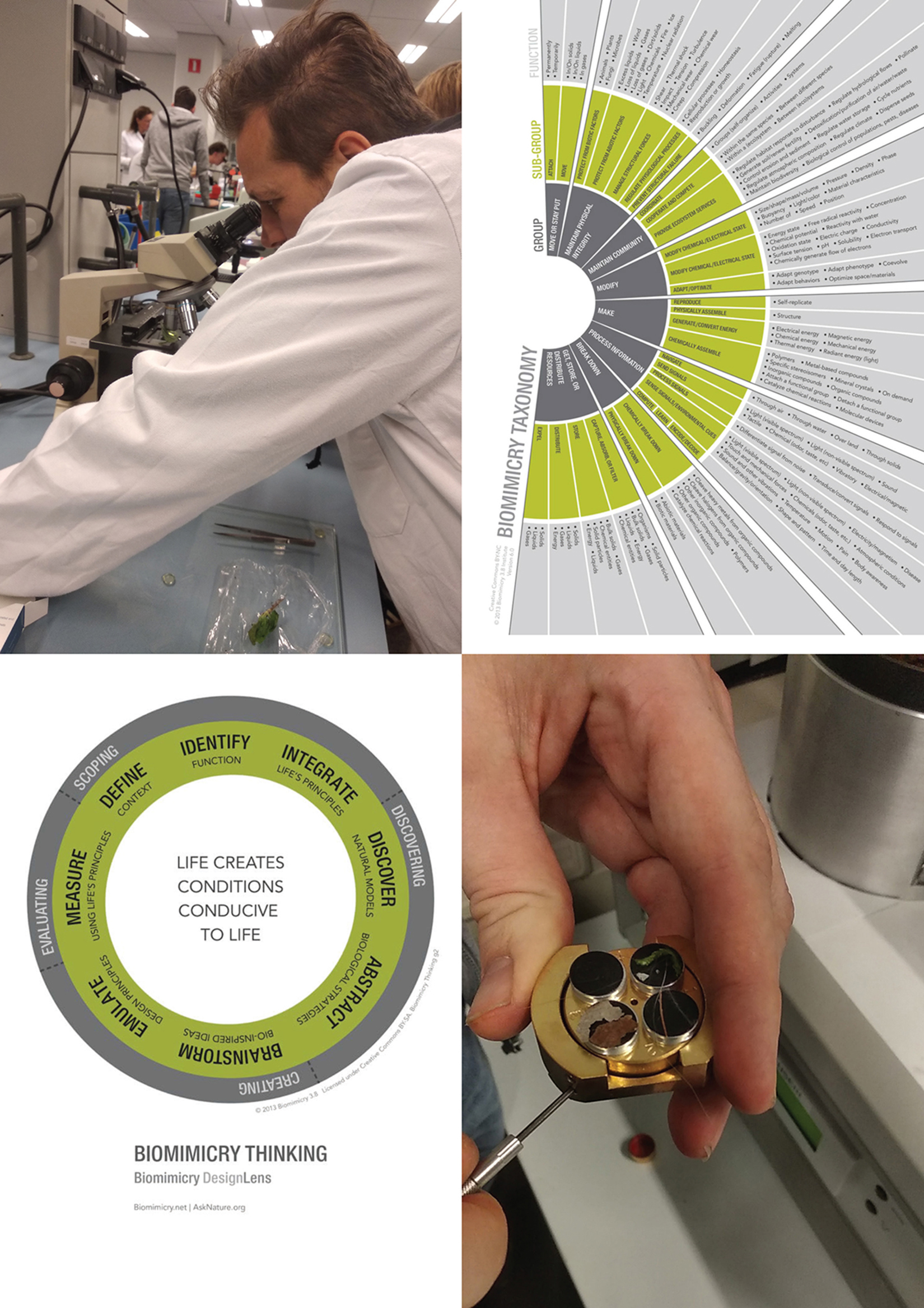 Biomimicry, Sint Lucas at Saxion