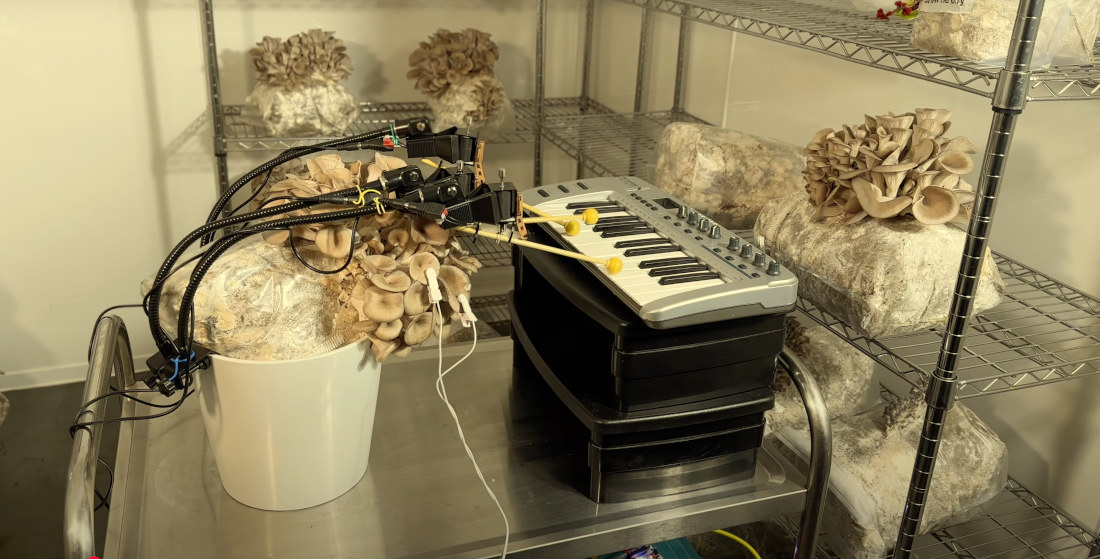 A fusion of technology, Art and Nature