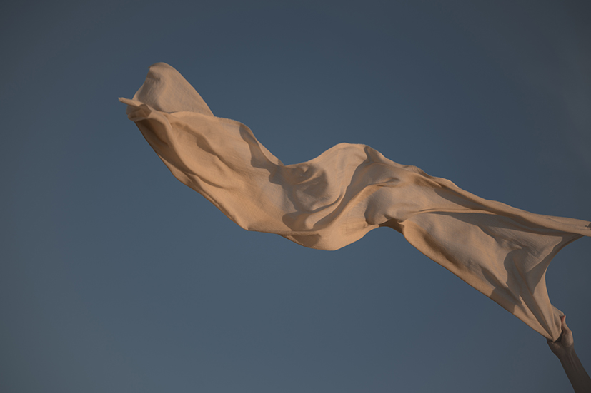 Bladderwrack_dye