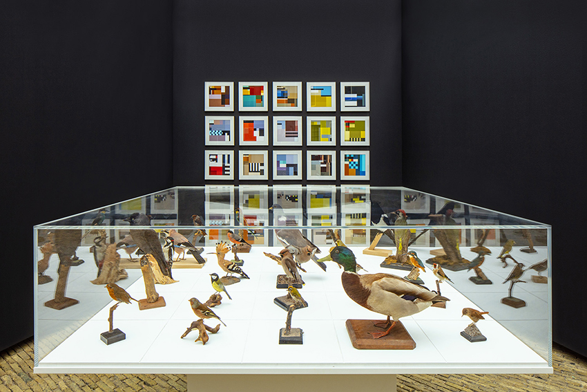 BLOCBIRDS installation