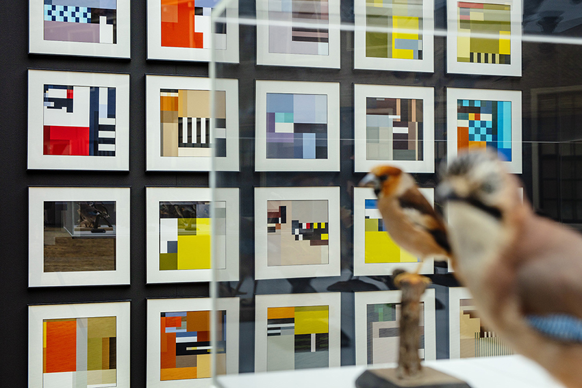 BLOCBIRDS installation