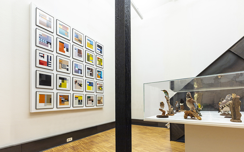 BLOCBIRDS installation