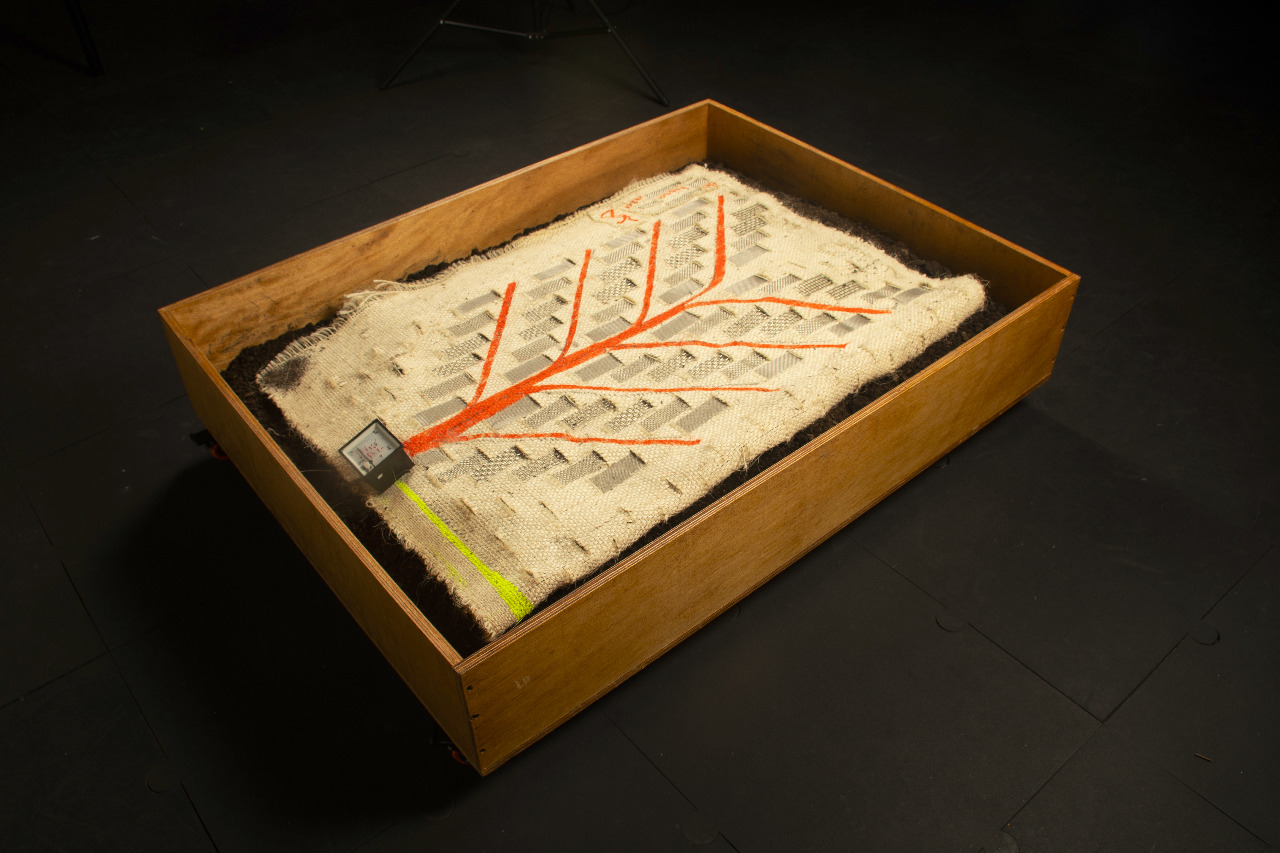 βoihisʂa-ata in an exhibition box of soil