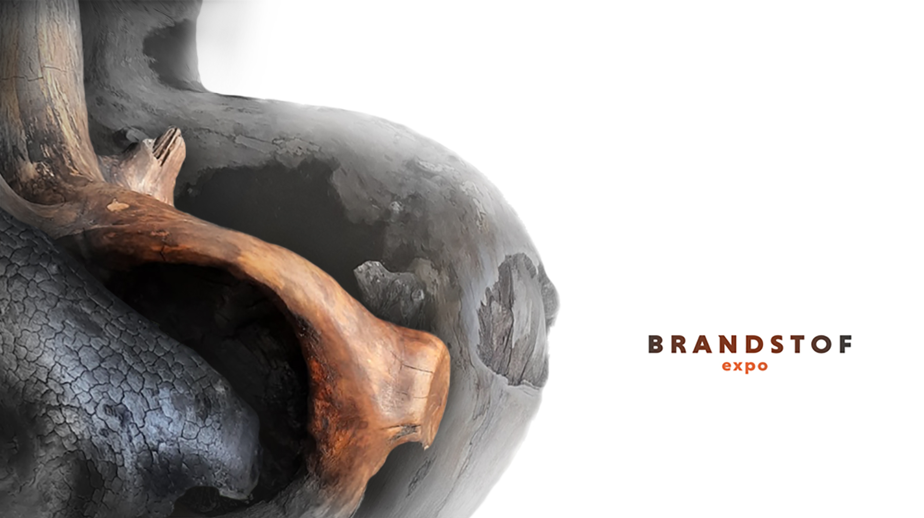Brandstof expo