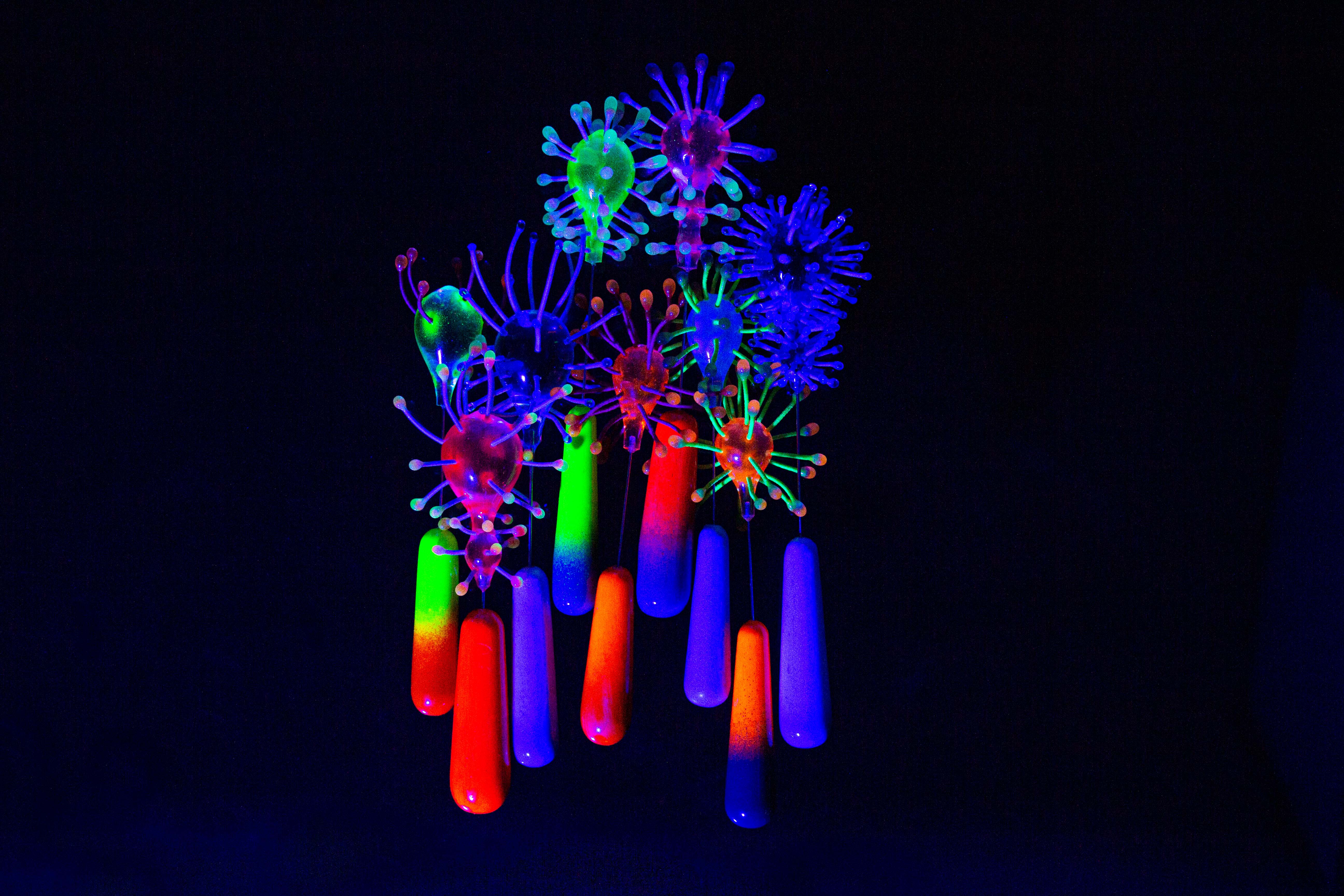 Coralpolyp Brooches