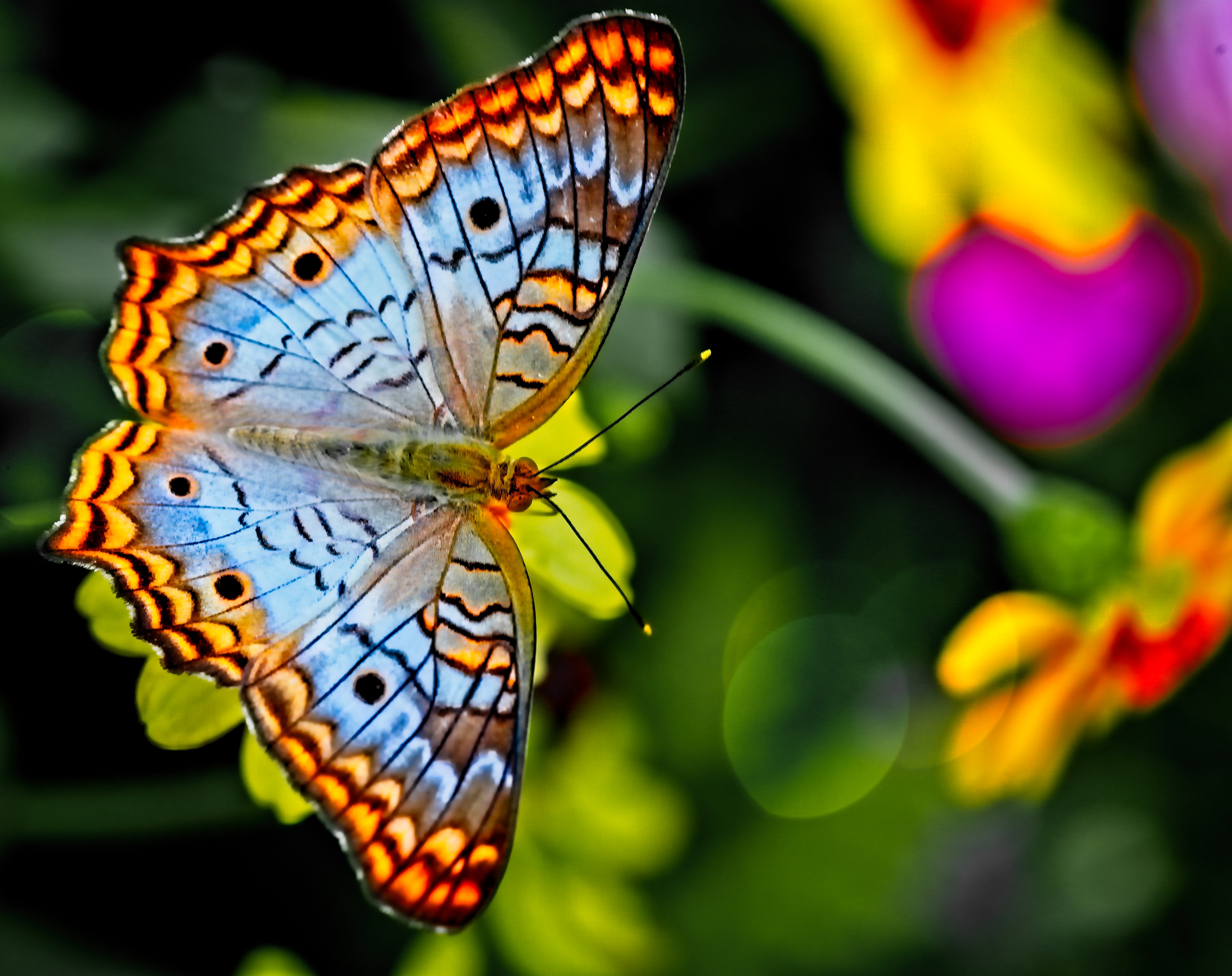 Creating colour the other way