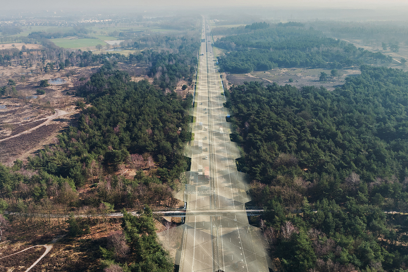 The Butterfly Effect: a web over the motorway