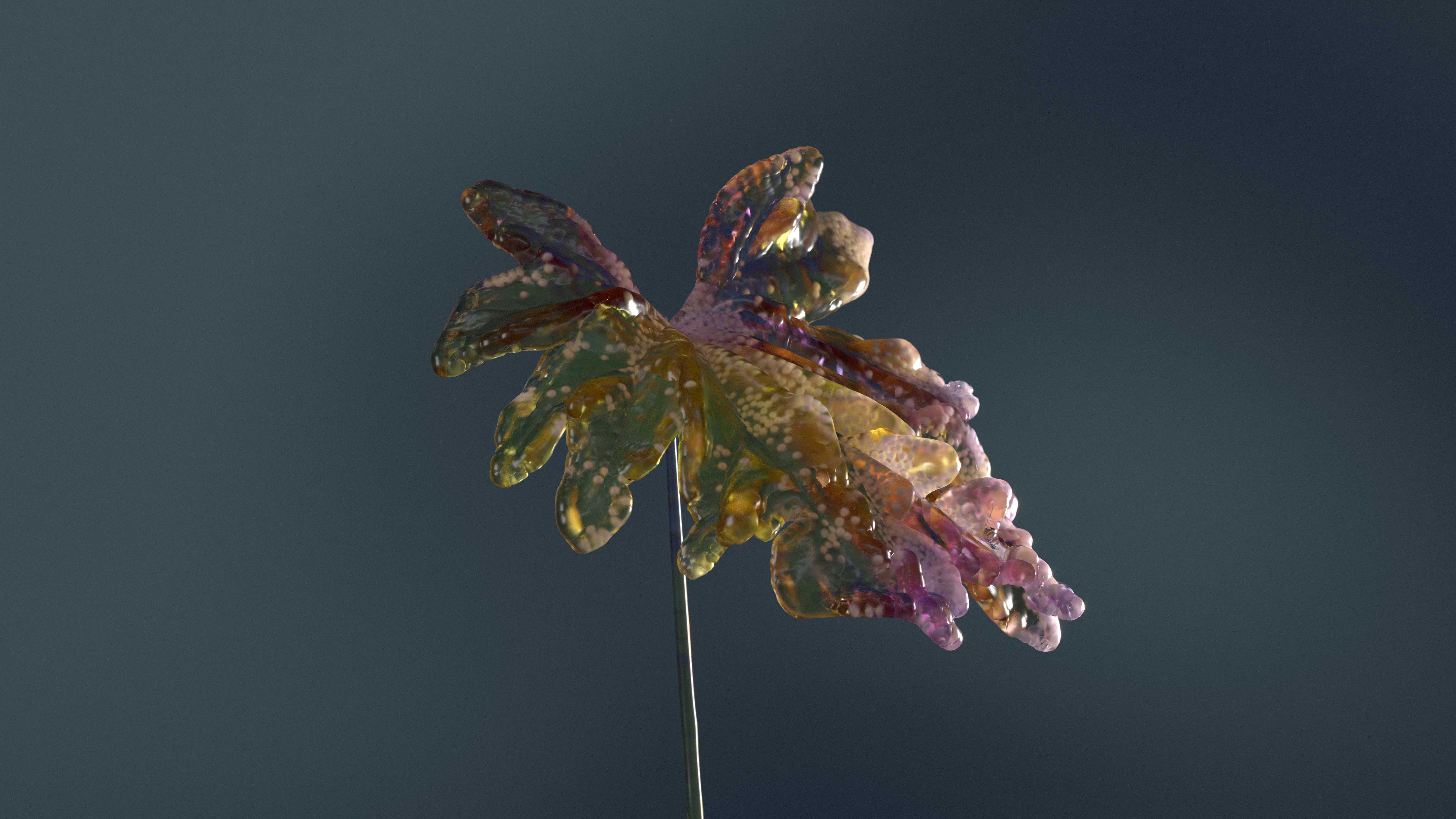 Frond
