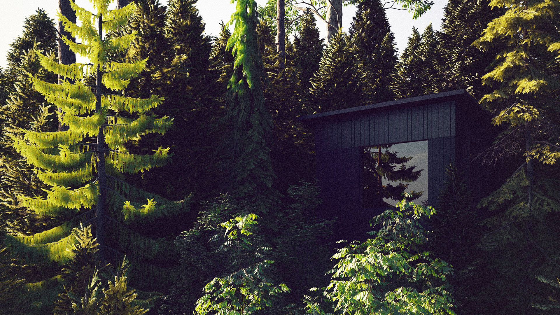 Exterior Writer's Block Hut