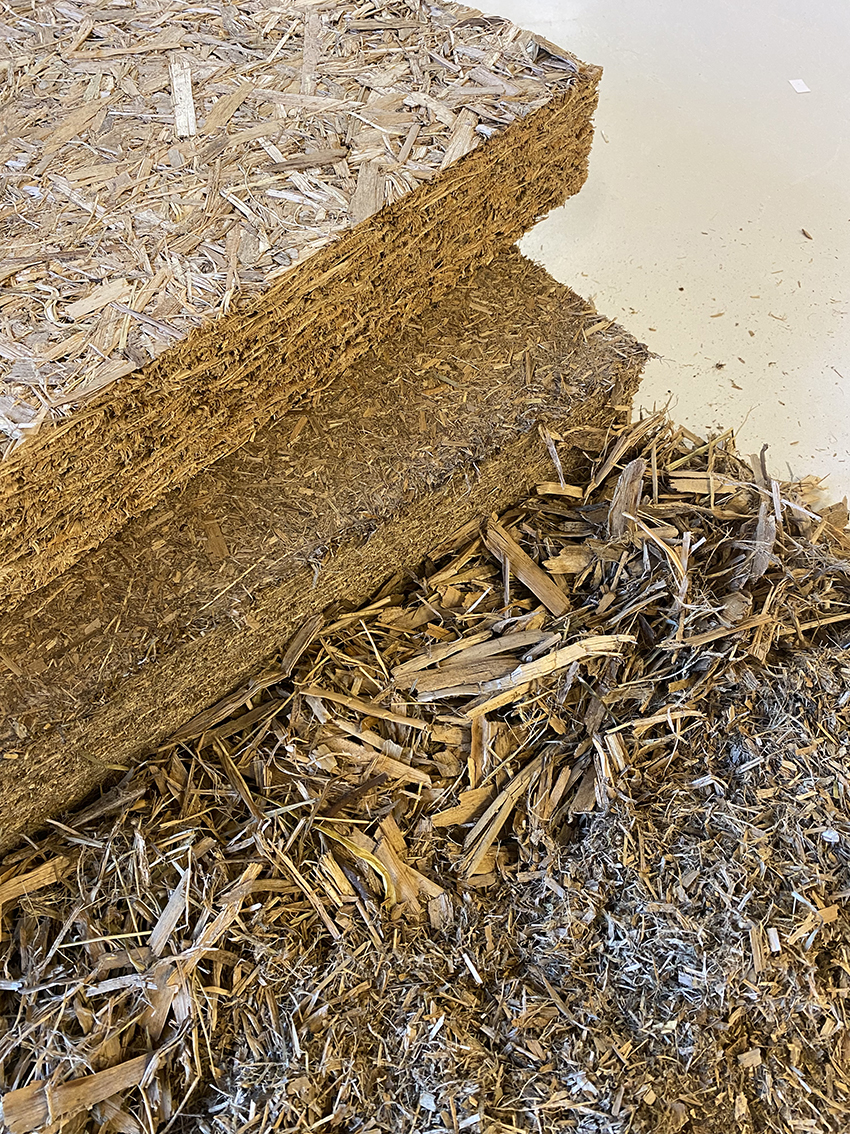Building materials from Wetland Fibers
