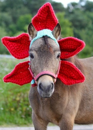 Pony headwear, Charlotte de Rooij, SintLucas